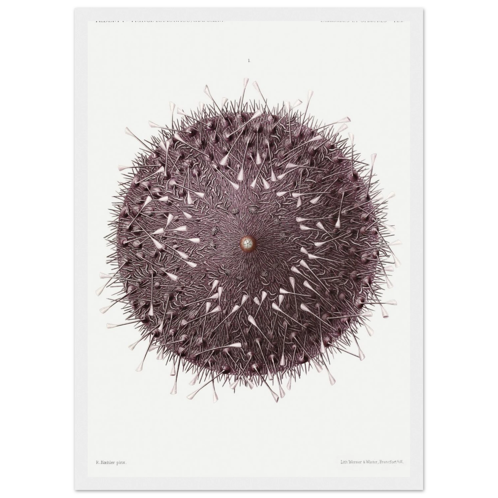 02358a65-fe26-409c-a24a-6f57b5128cad