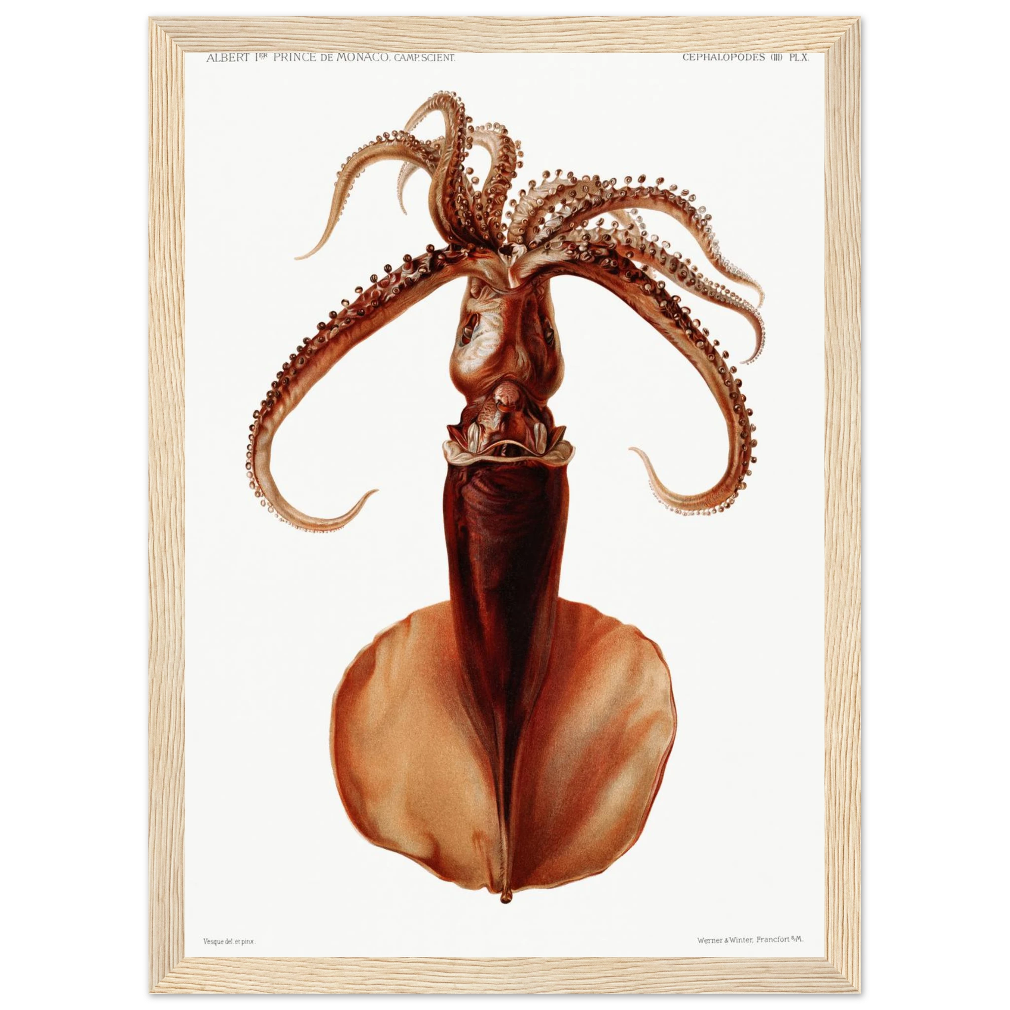 026ab50e-caeb-46cf-93c4-e224e867e265