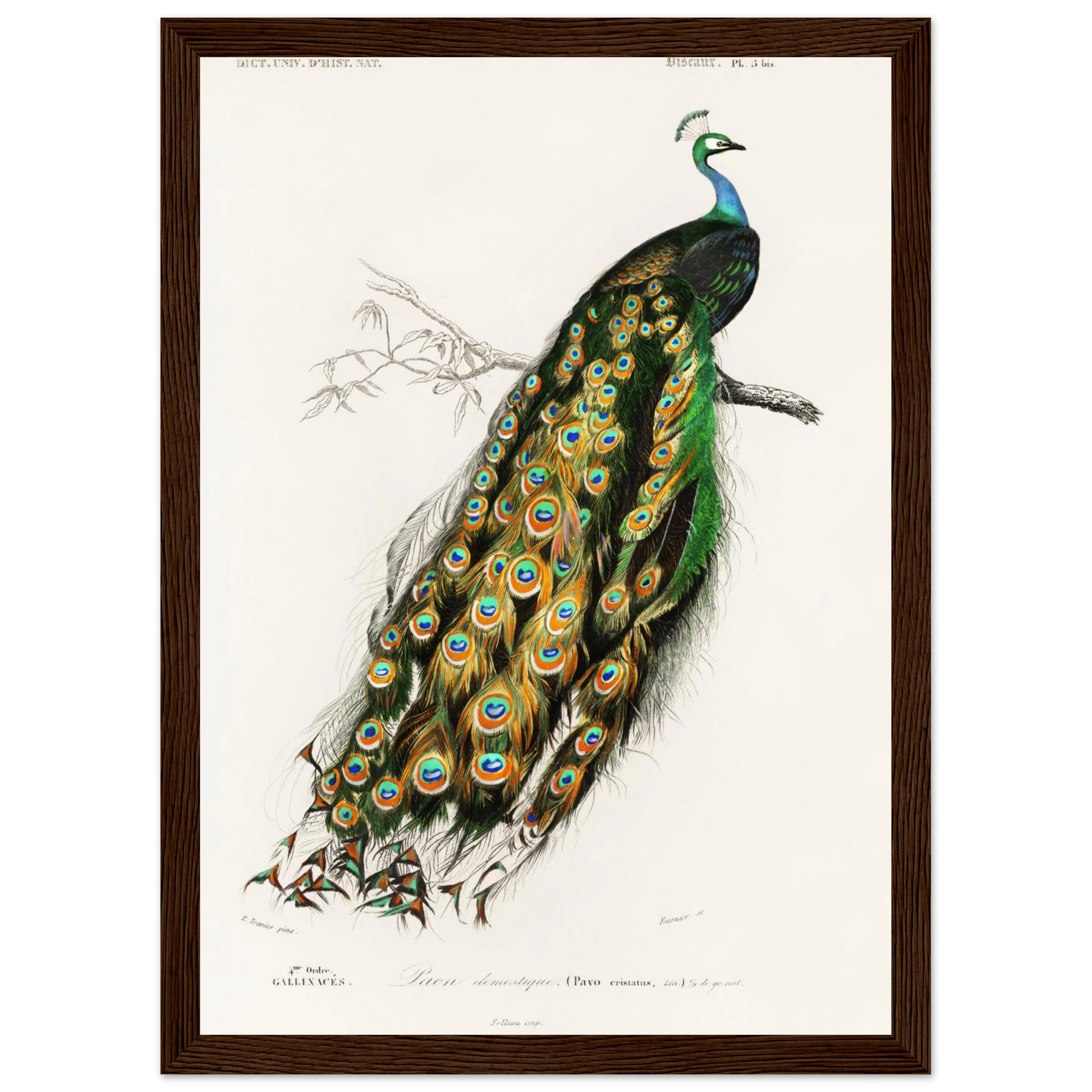 027df418-ea46-45bc-a104-437aec6c616c