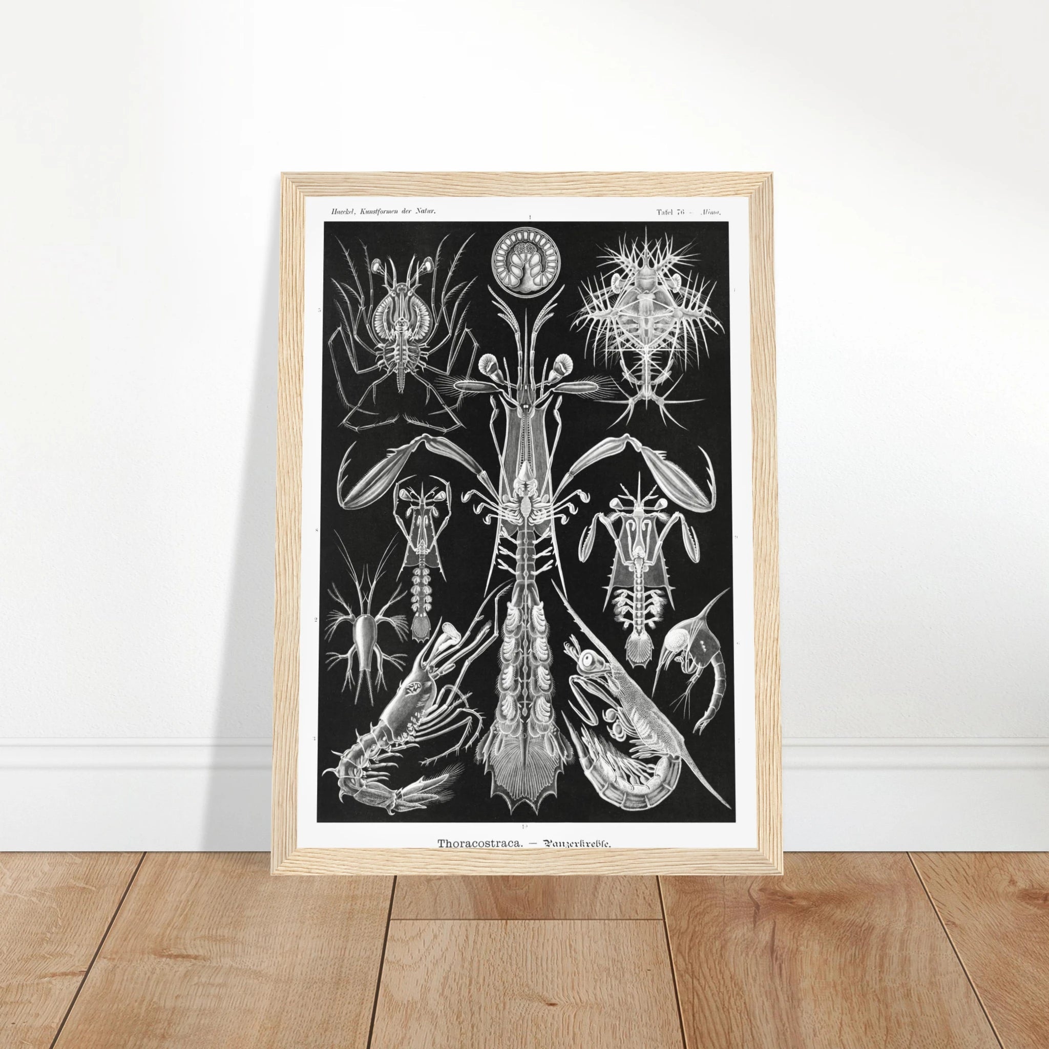 0343d7ff-e74d-44ee-a767-2a3096c27b71