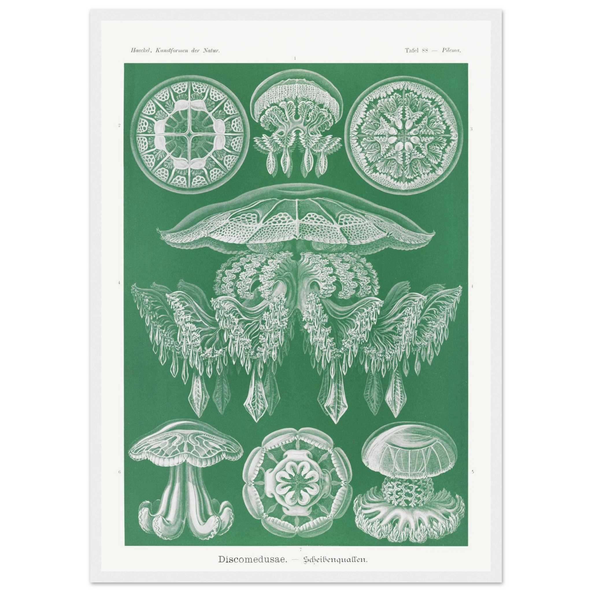 0399ff36-043c-4d34-b556-2c65f0216174