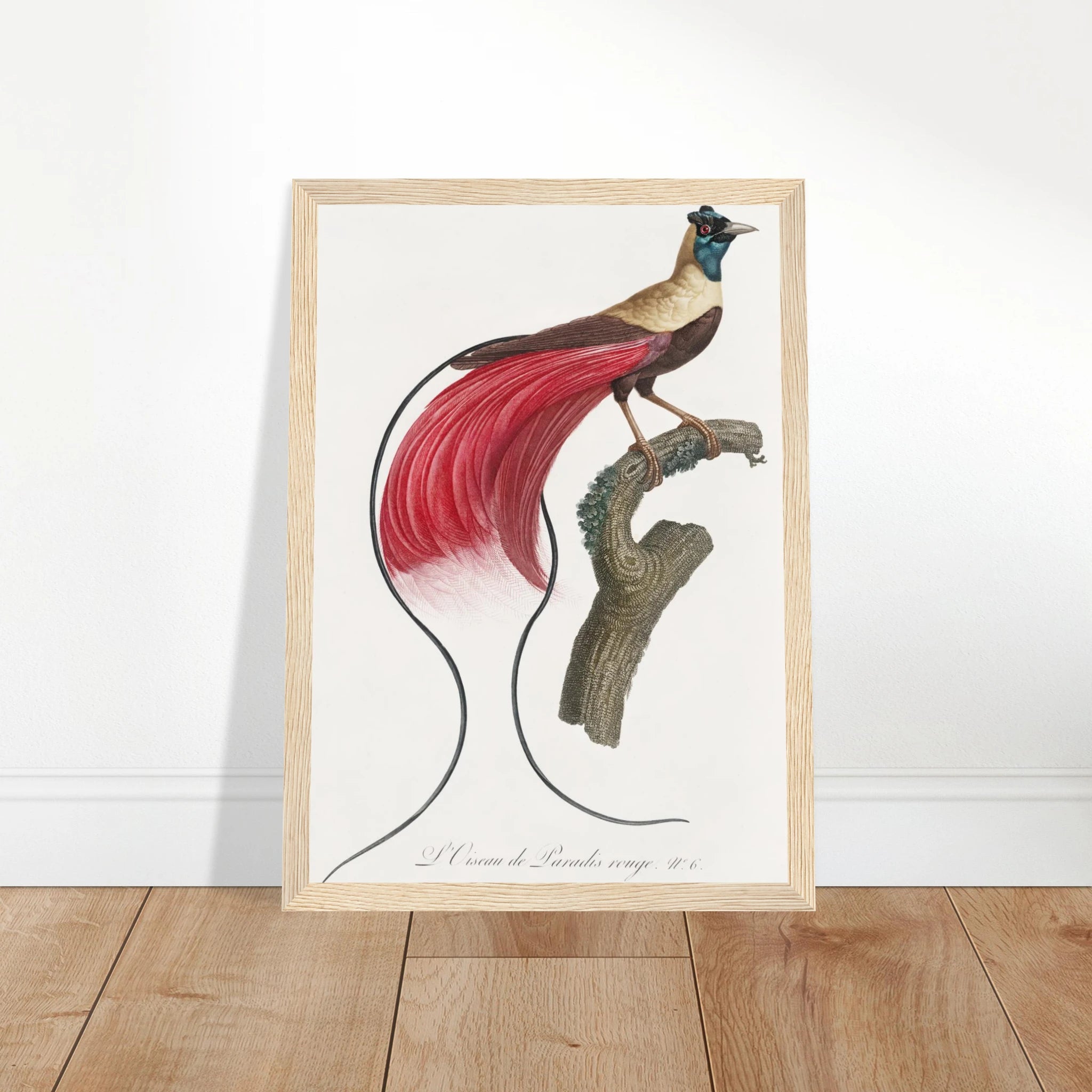 03cd6fe3-4325-4349-9c6a-e036938976bf