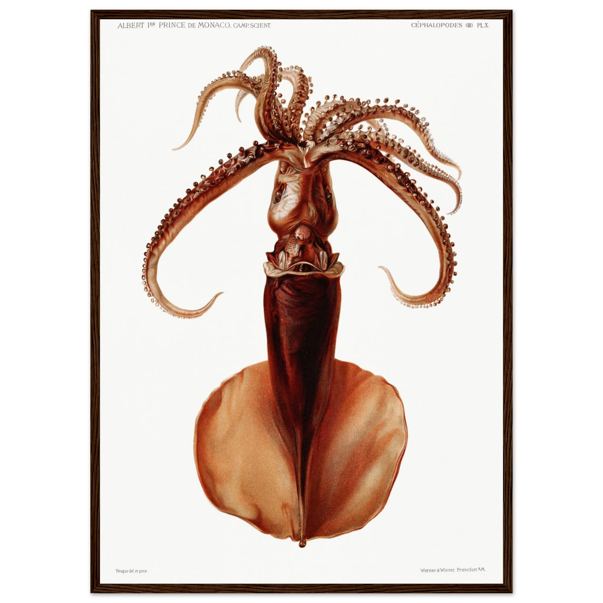 03cfb4a6-12aa-48cb-8b60-1636ff8412c5