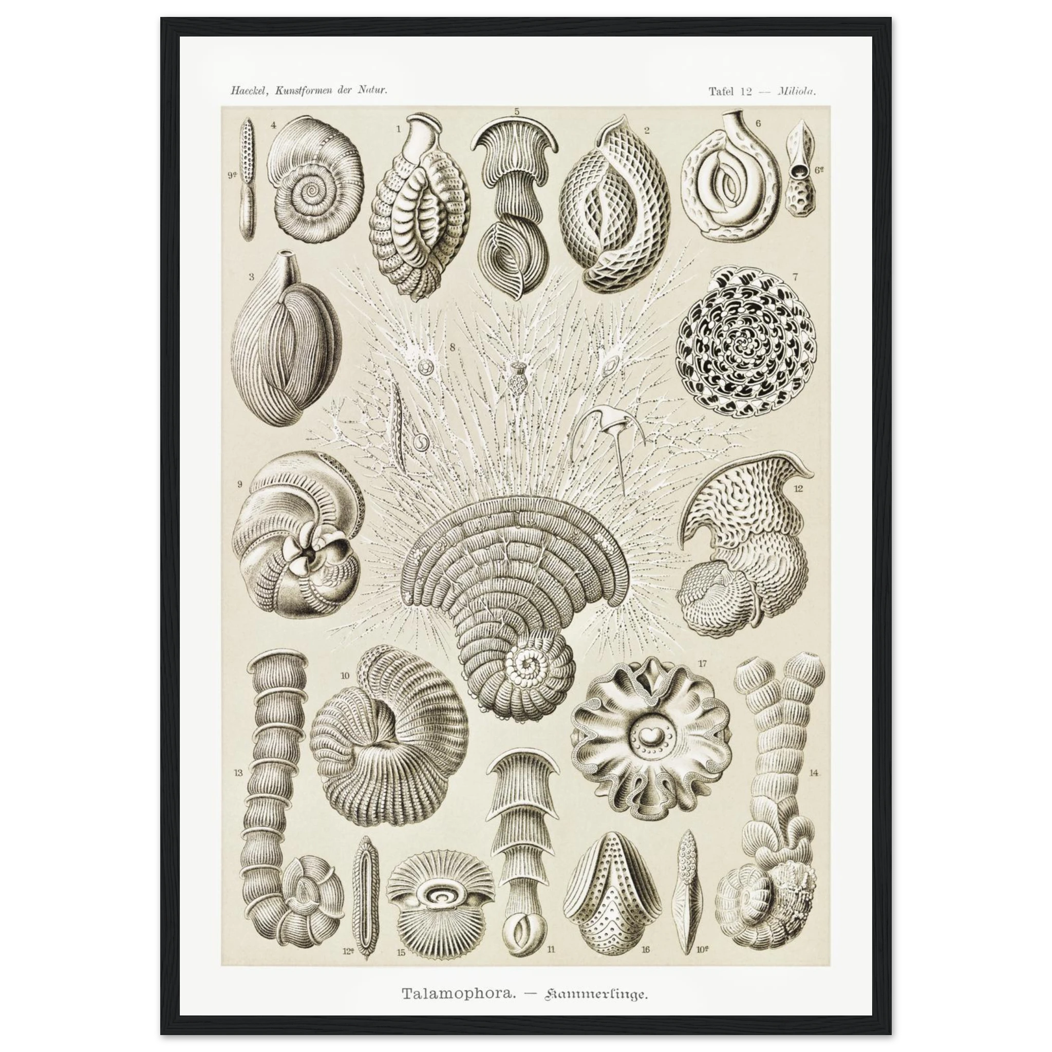 0471c950-cfdf-4e52-91fc-8920bdf6f63d