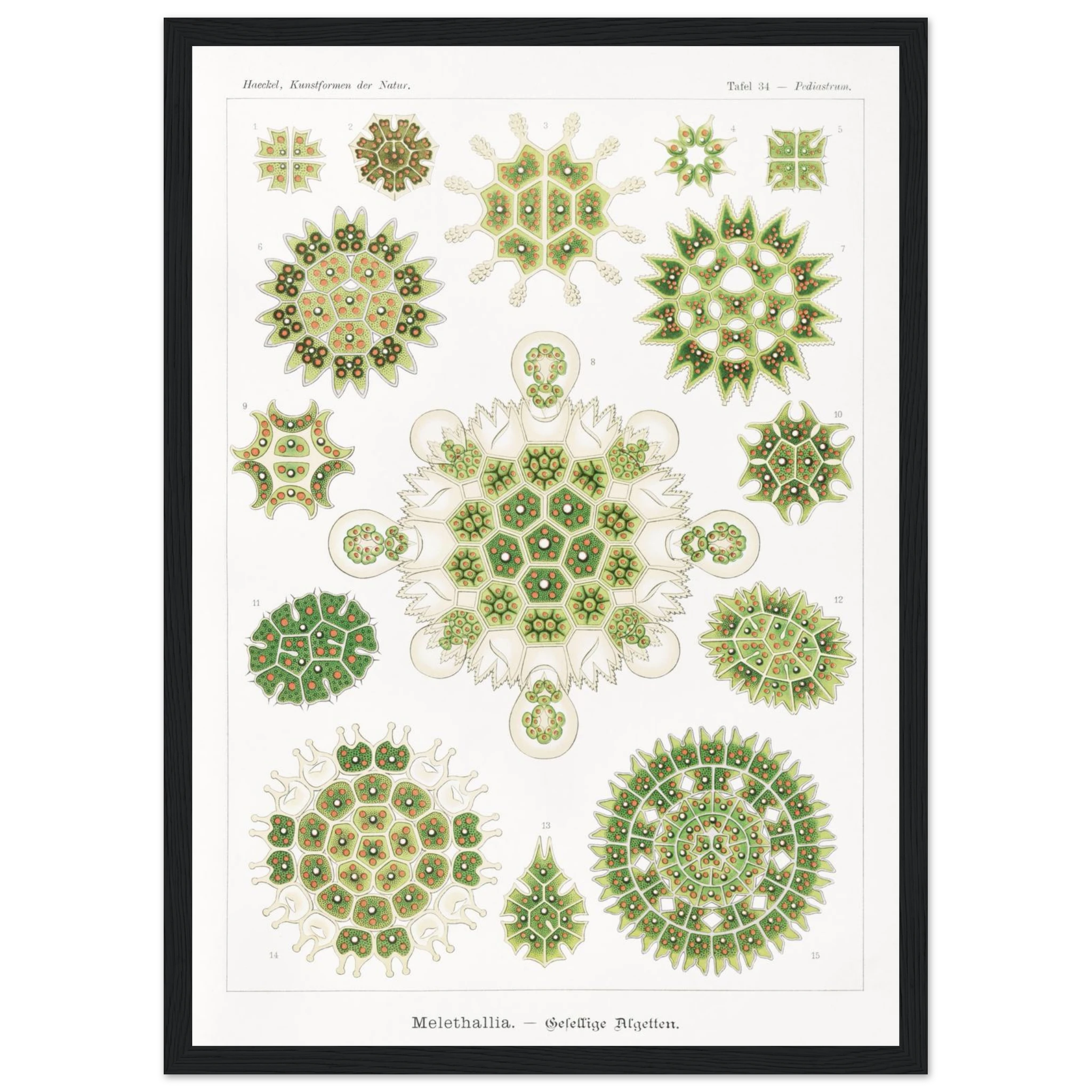 048408ab-3632-4ce7-9f5f-1cbce4e4fb89