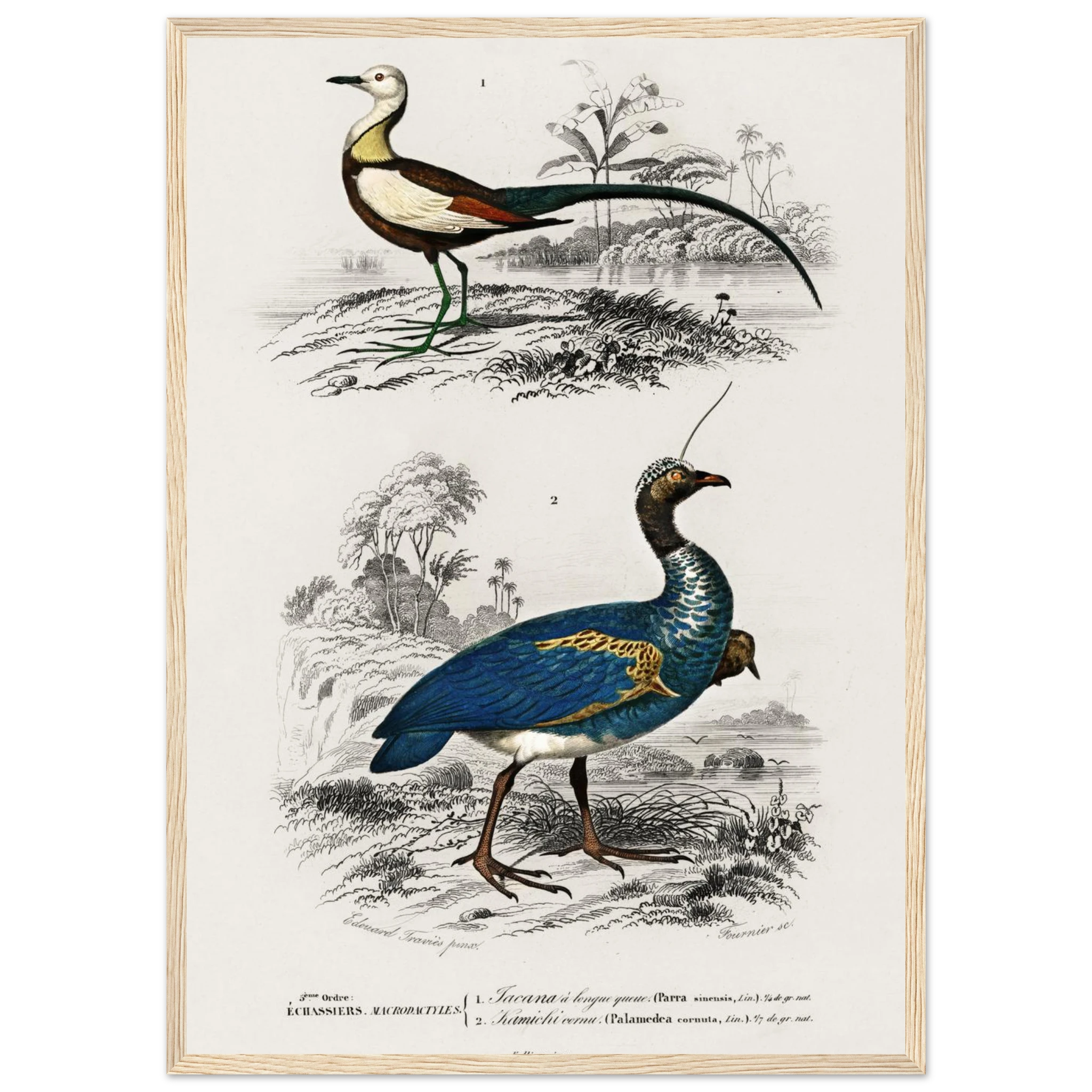 0485ee20-fea6-496c-8560-1282a11eaa22