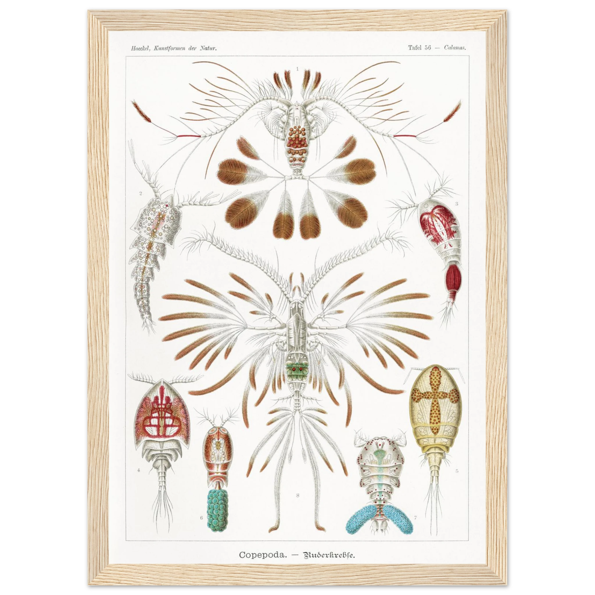 04f31f3d-bbe7-480e-afb6-9b13f7ea277b