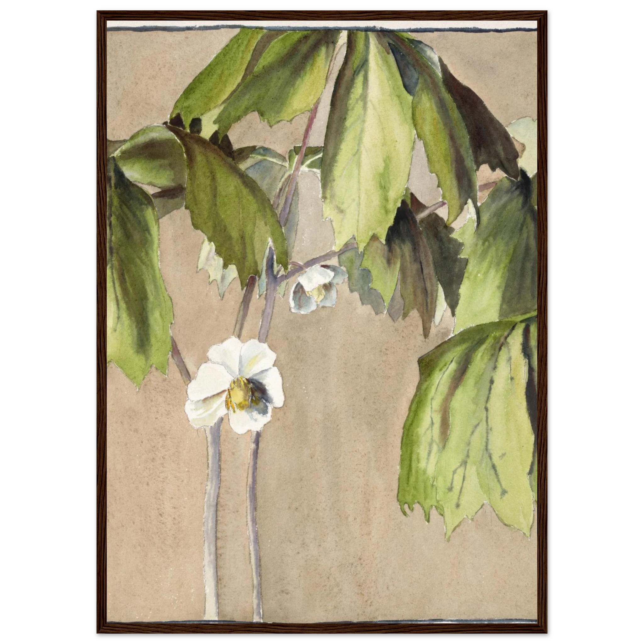 0545c049-c185-4010-9625-b641f9182a27