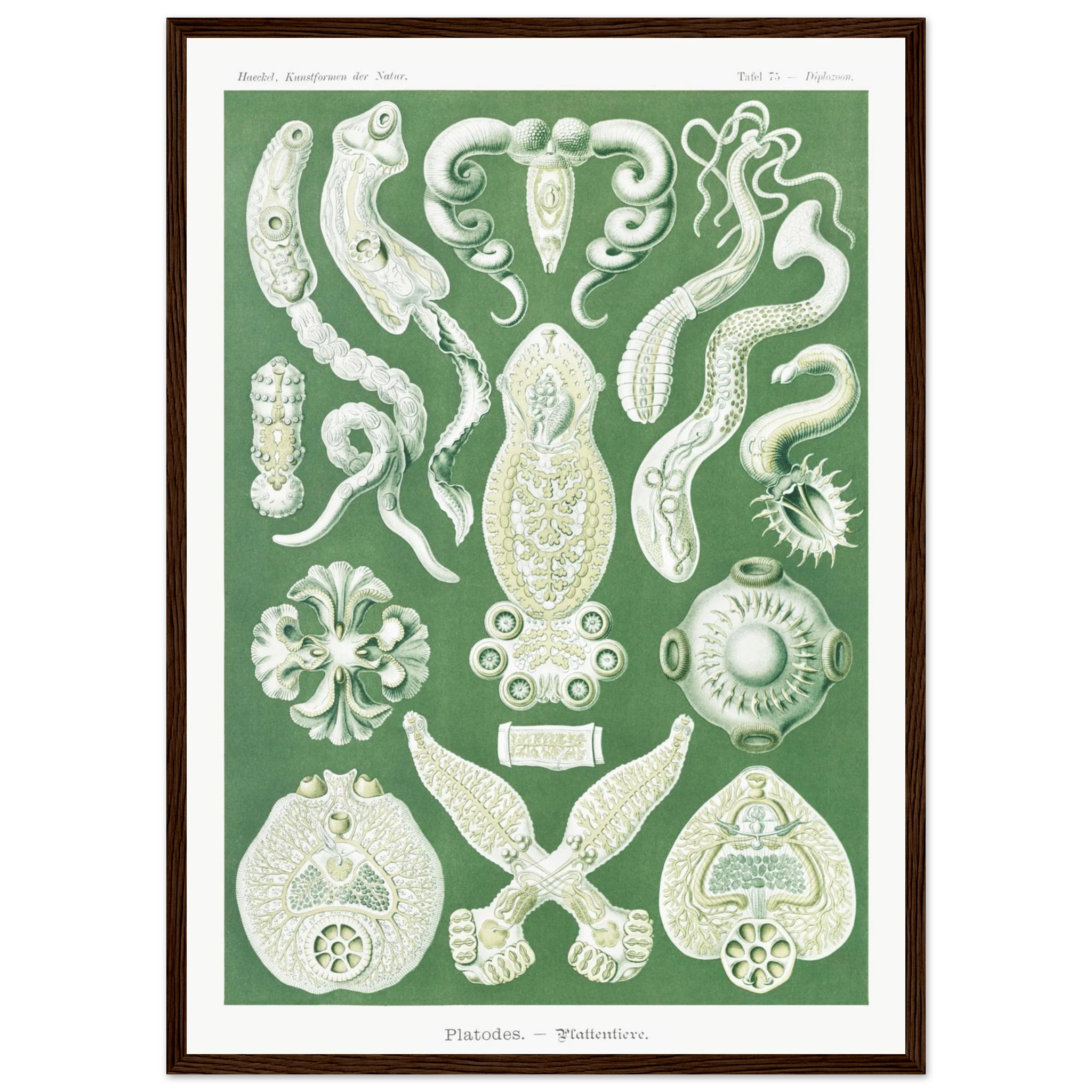 0551f82b-49db-4ebb-9db3-b394f16b48fb