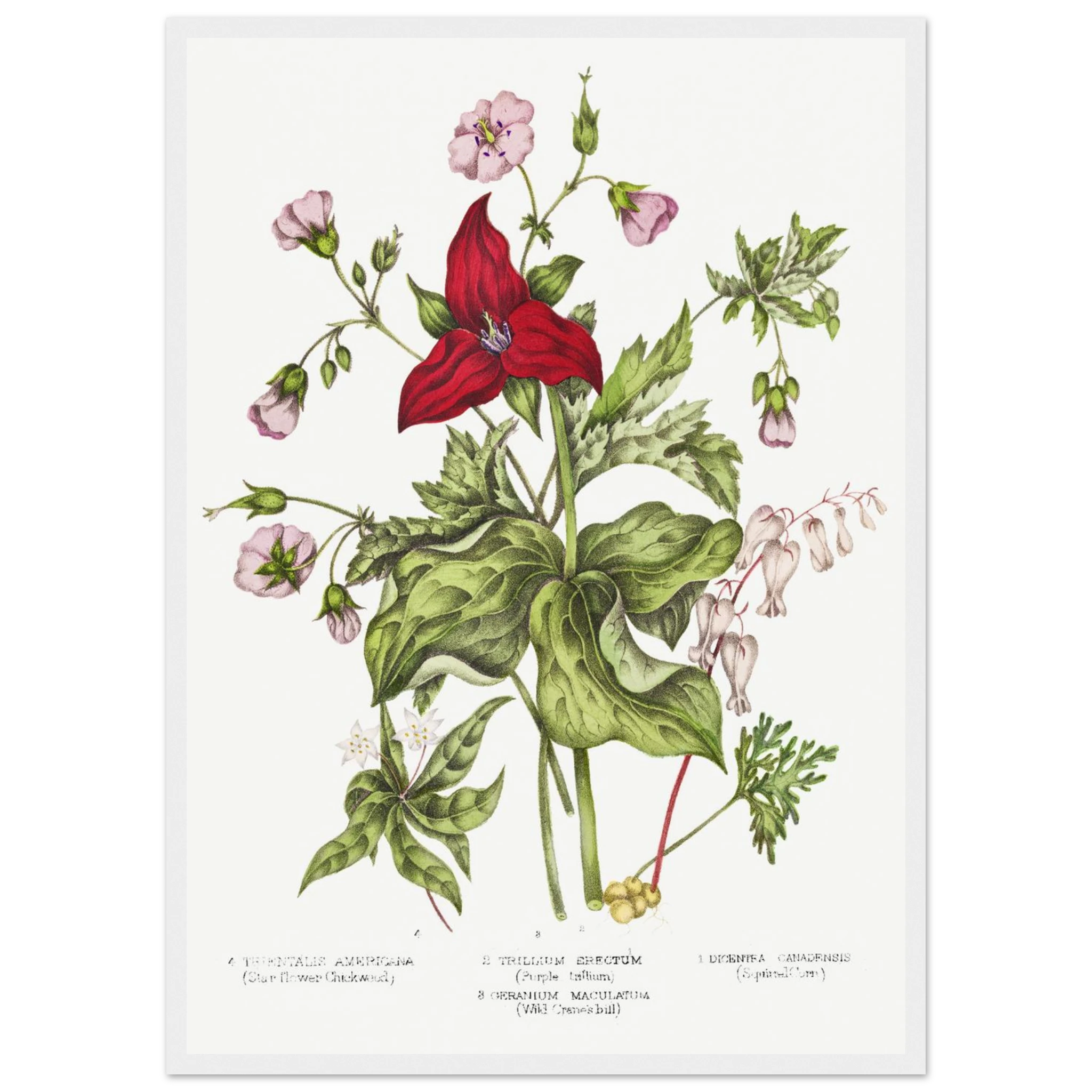 05808dd5-68bd-4d3e-9105-ef8beba579ef