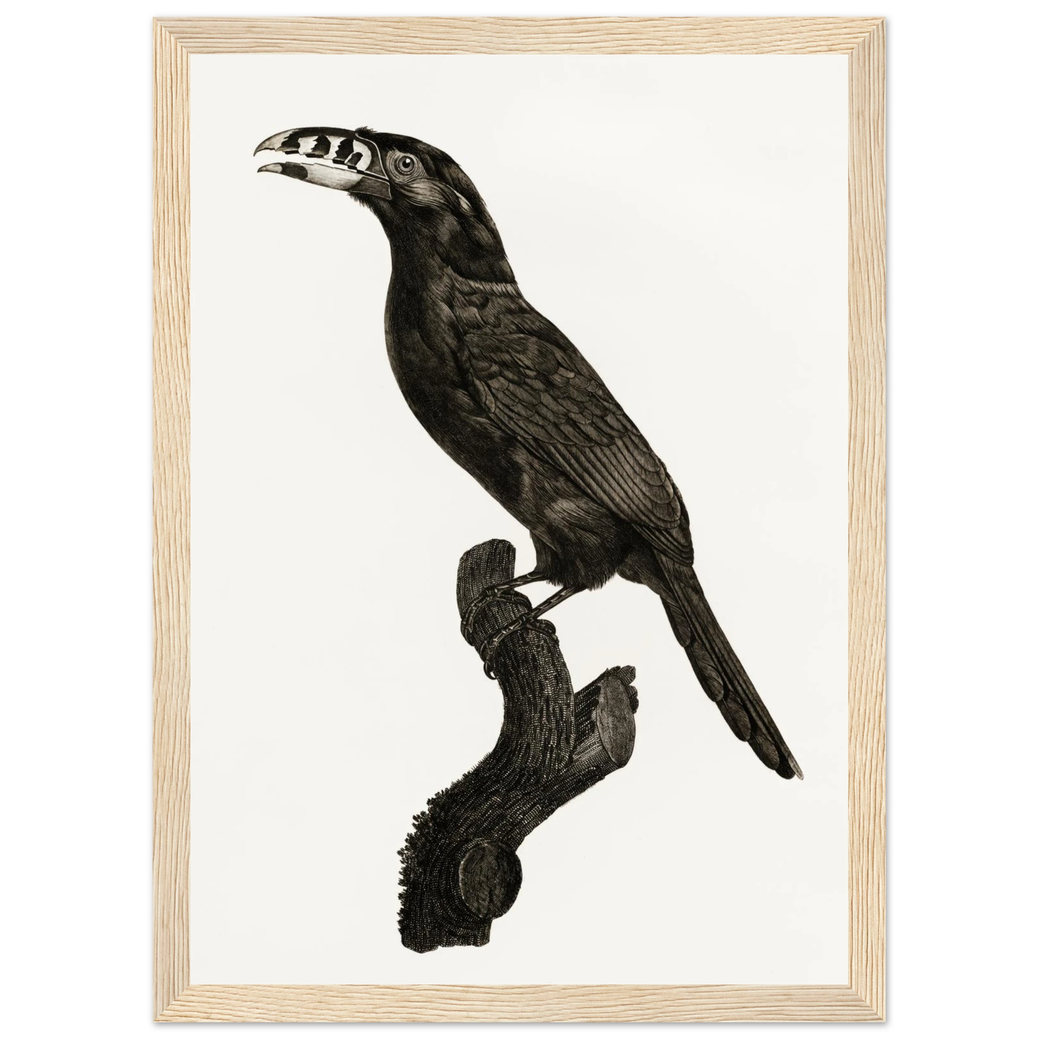 05a06f4b-6c87-4f81-bcc3-e2d451ecfdbf