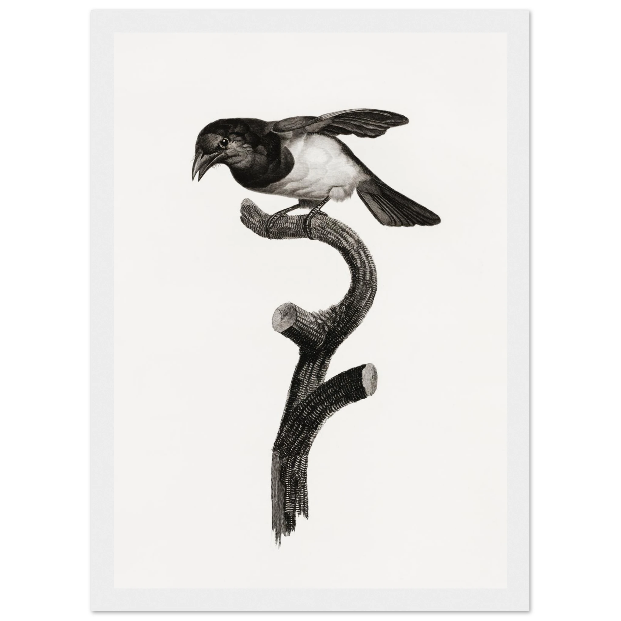 05e56d41-06d5-4071-a8a4-cf4455e9e98b