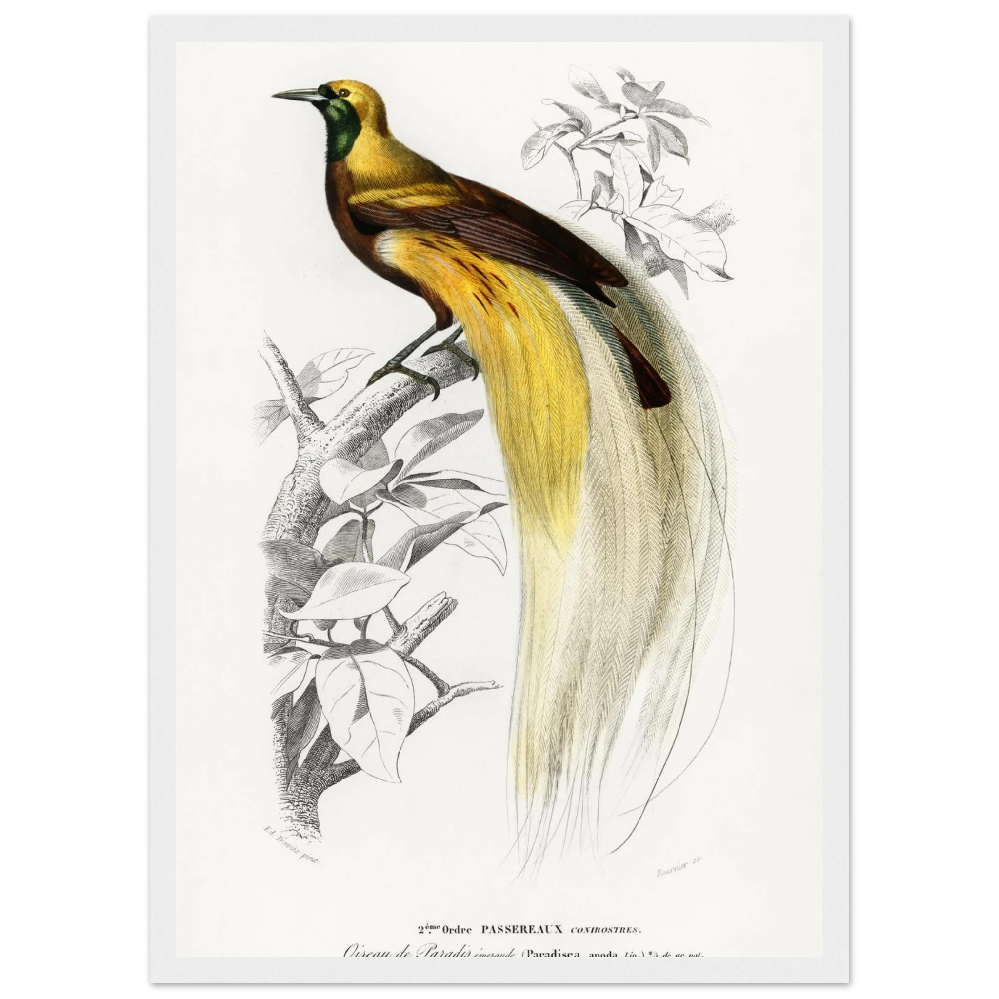 0652b23d-df36-4951-b2a3-6ca7ffdb20b9