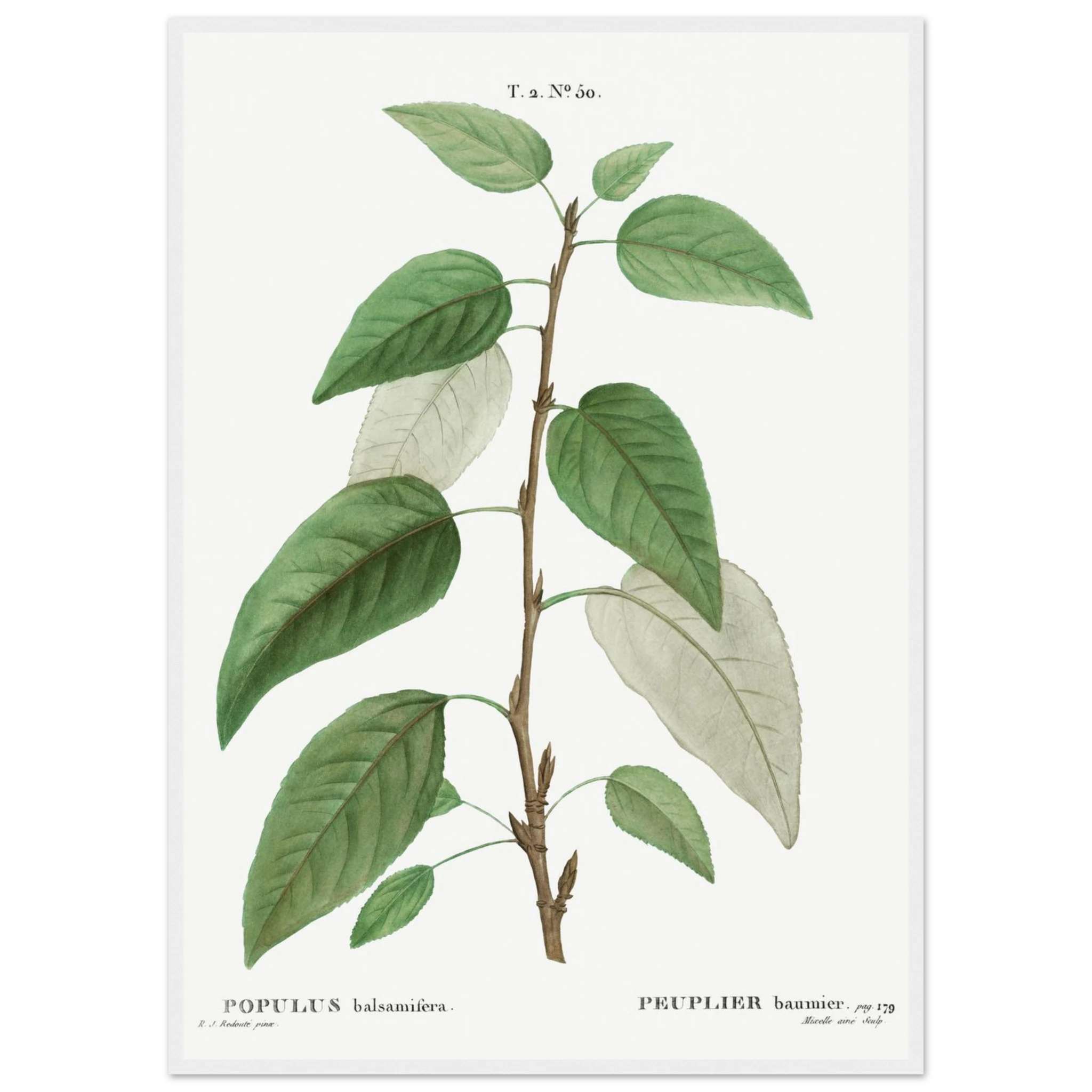 0666b4e8-52f8-411c-86fe-8c3f27f9dbee