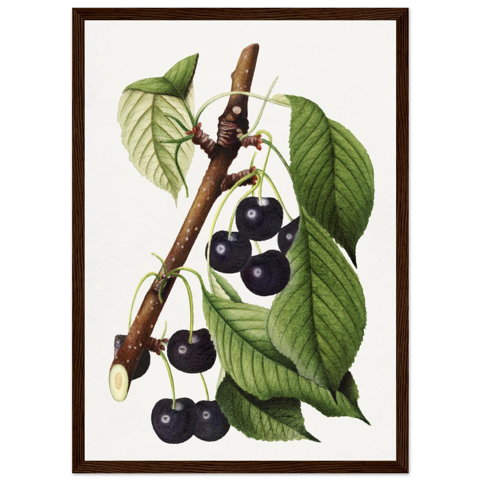 067aa010-5b3a-4783-bde9-740cd9be0e2a