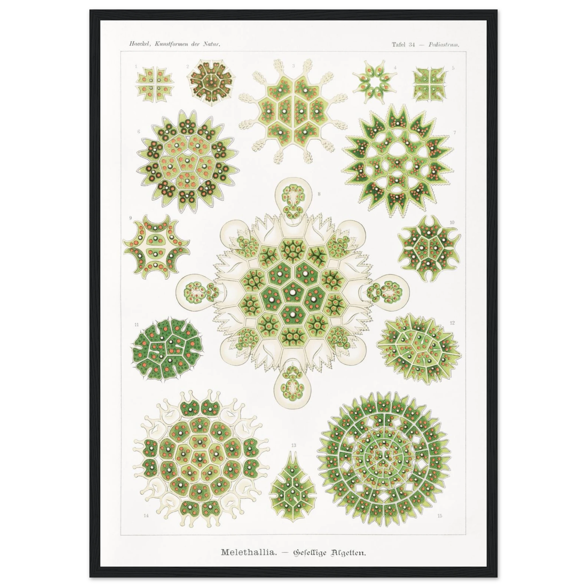 0680d99b-5278-4a21-8bfb-dbc724cc4eba