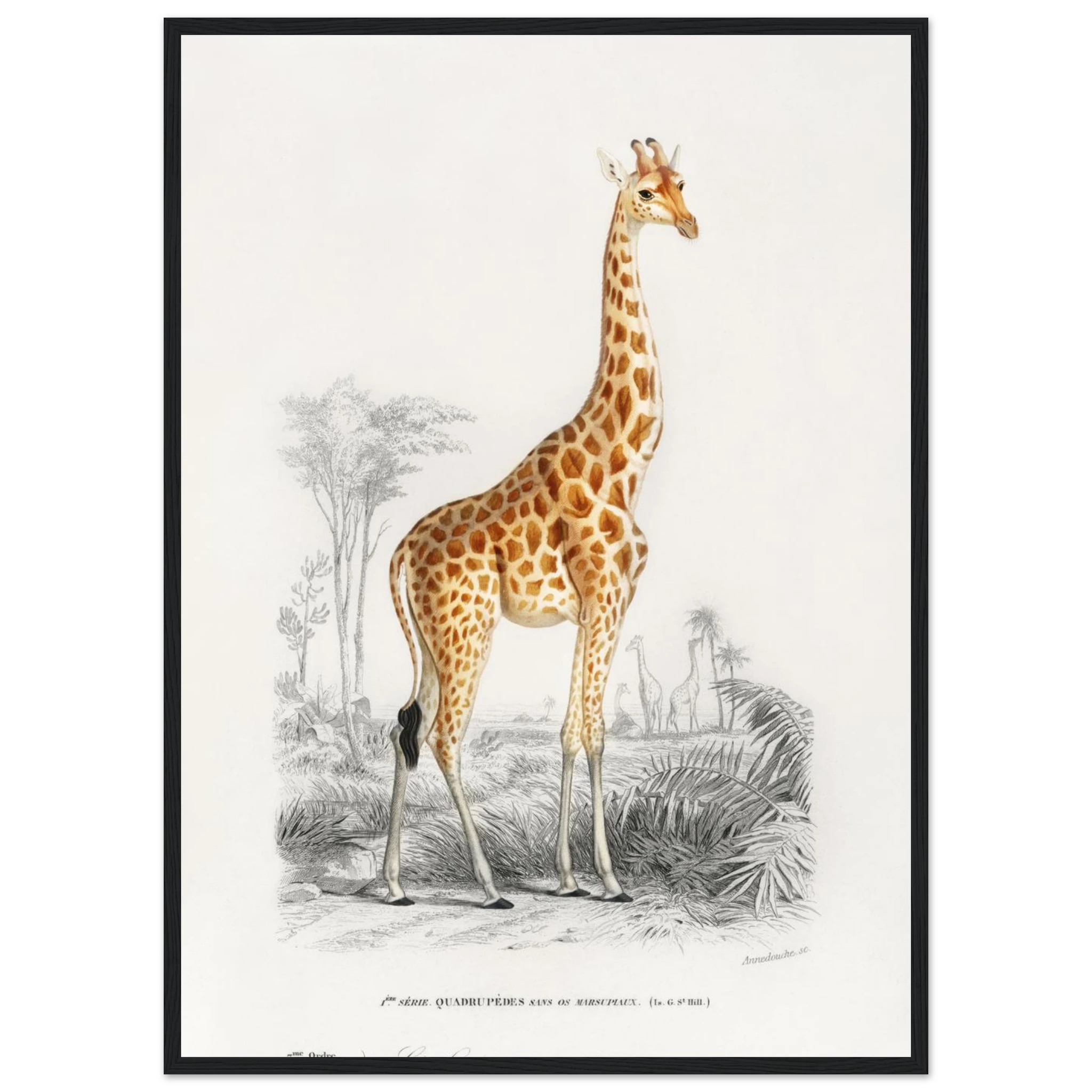 06cbc1fa-00c3-43fc-958d-3a01a6a12250