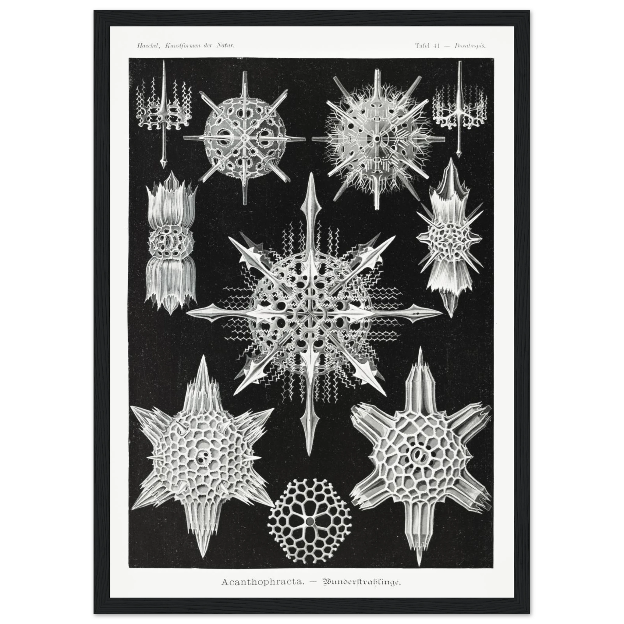 072ce5c3-a559-4f0f-9985-ccdef75fe2b0