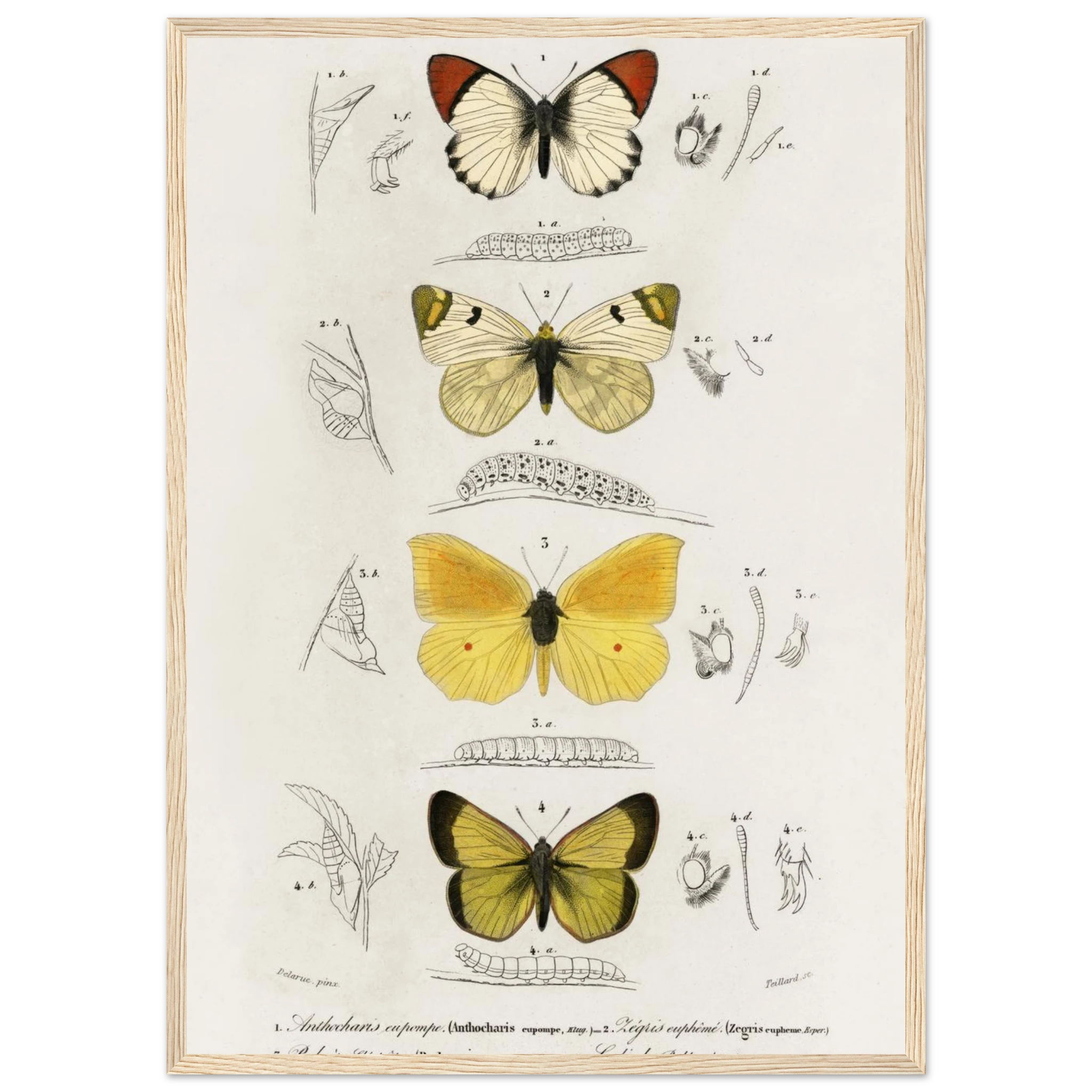 07709701-6263-4734-8efa-1679050e836e