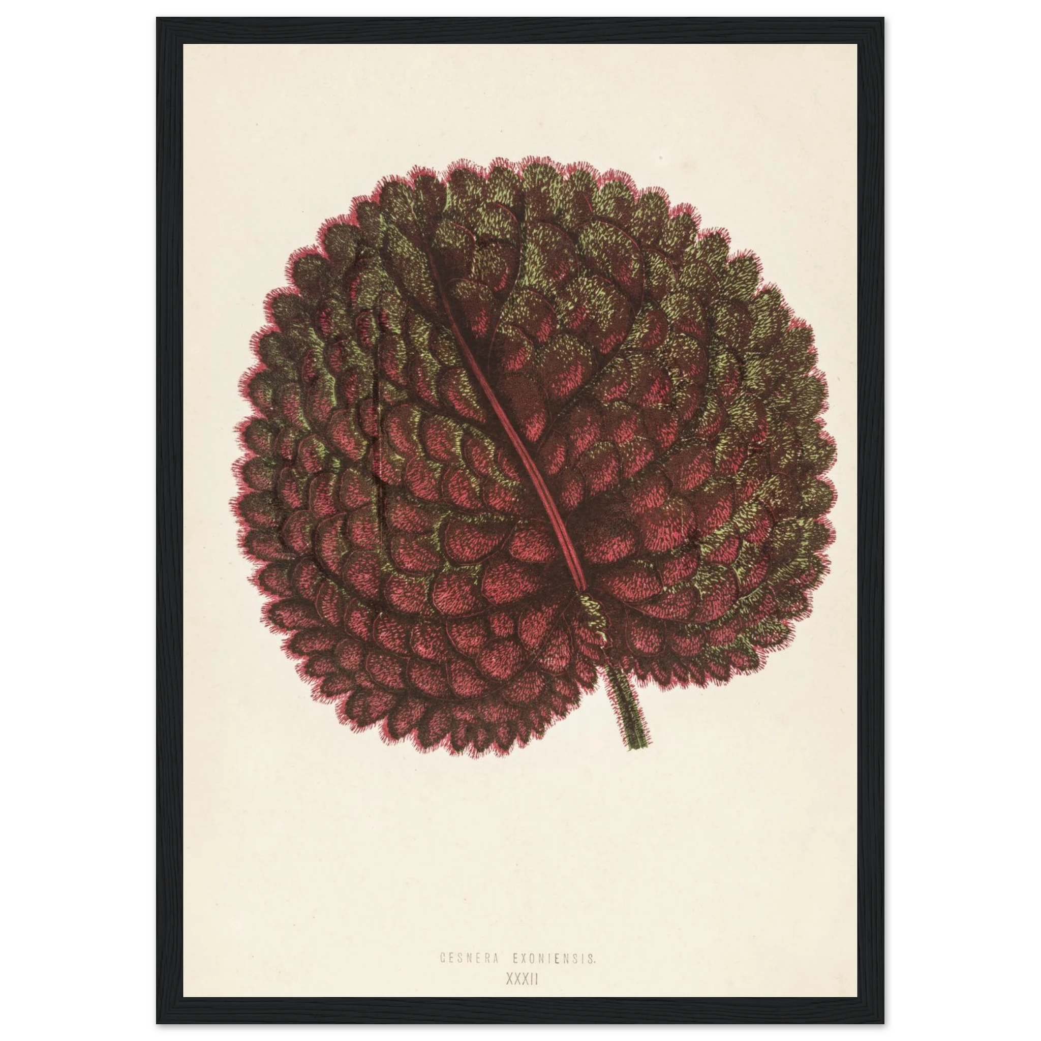 079cadc9-f31b-4bd5-9673-eb4422e246df