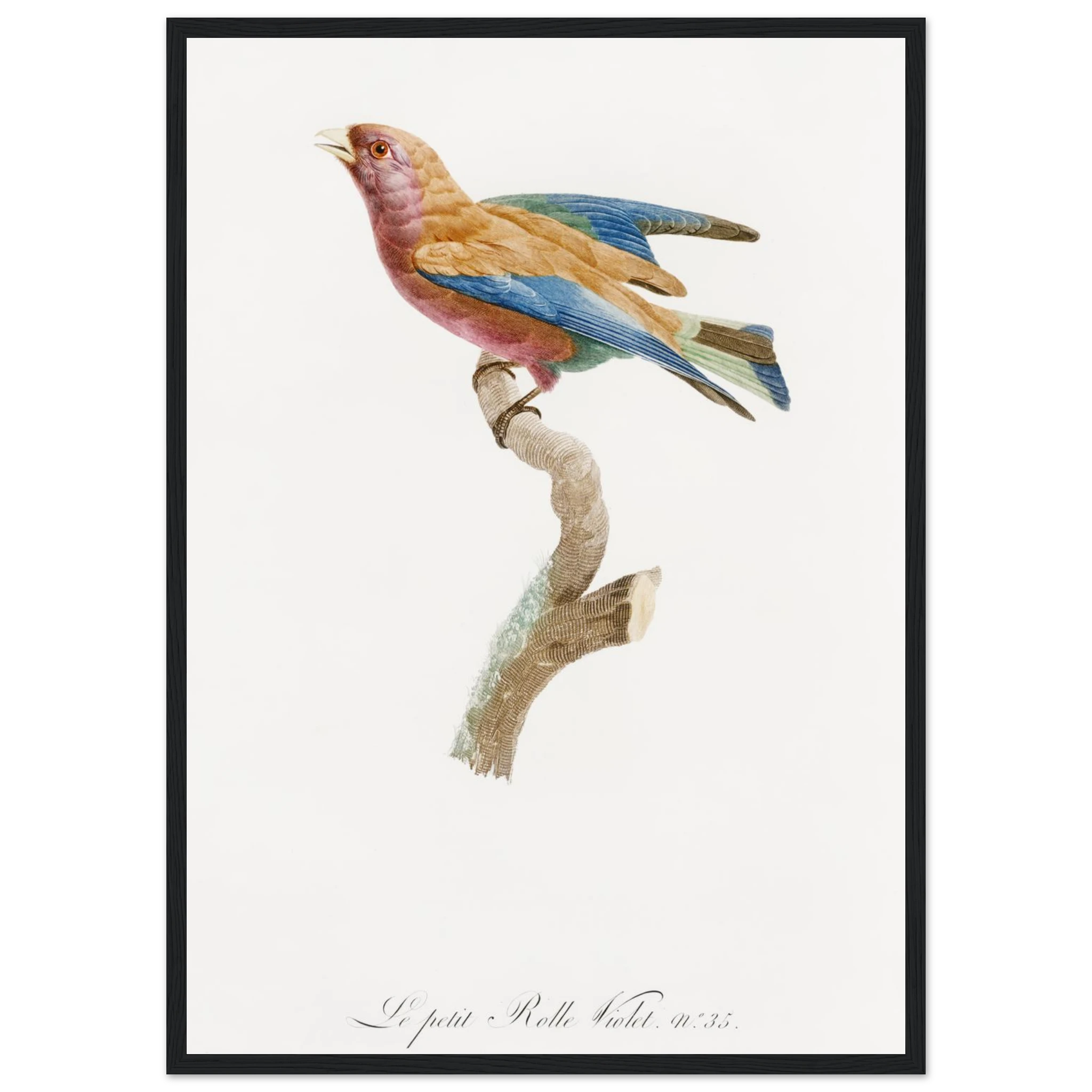 07e1544a-b493-447b-91cf-26581611d23e