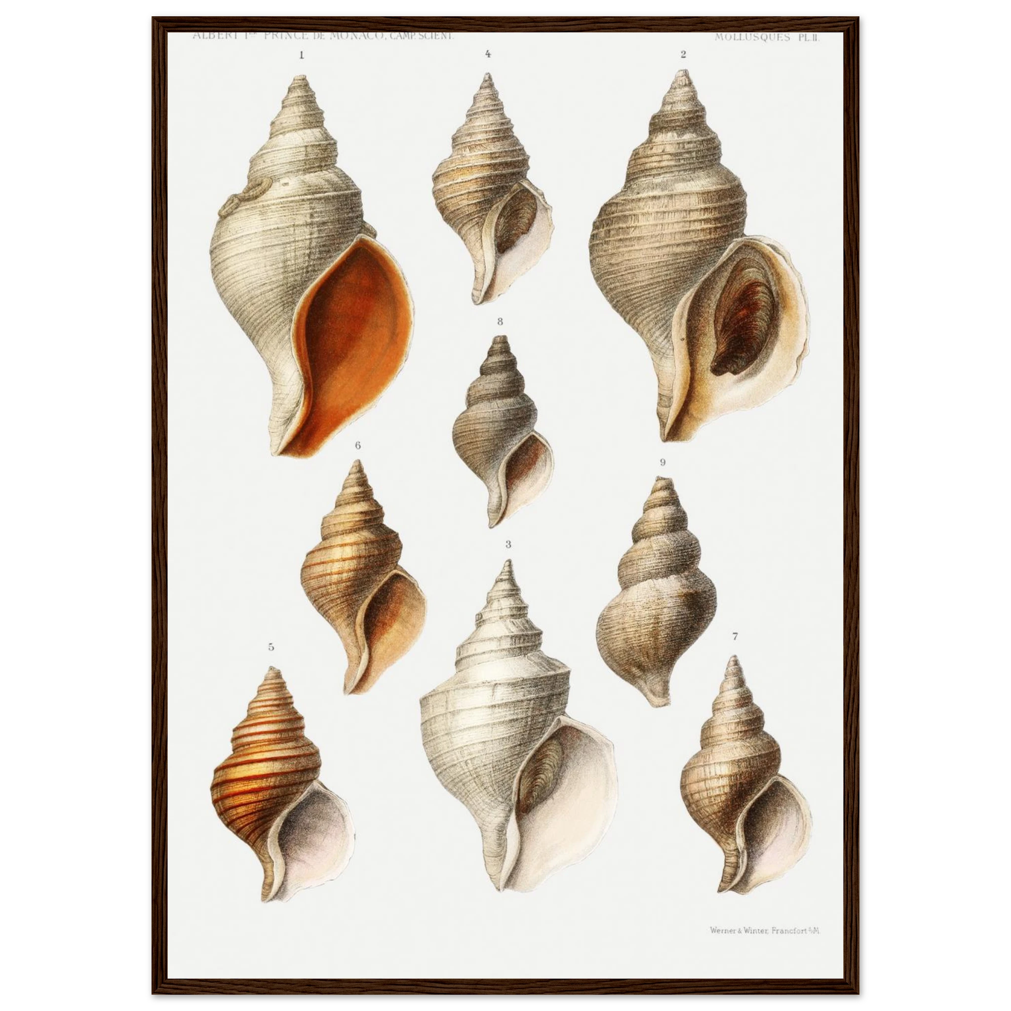 07ecd8d9-3354-4461-92f0-e5321b421eea