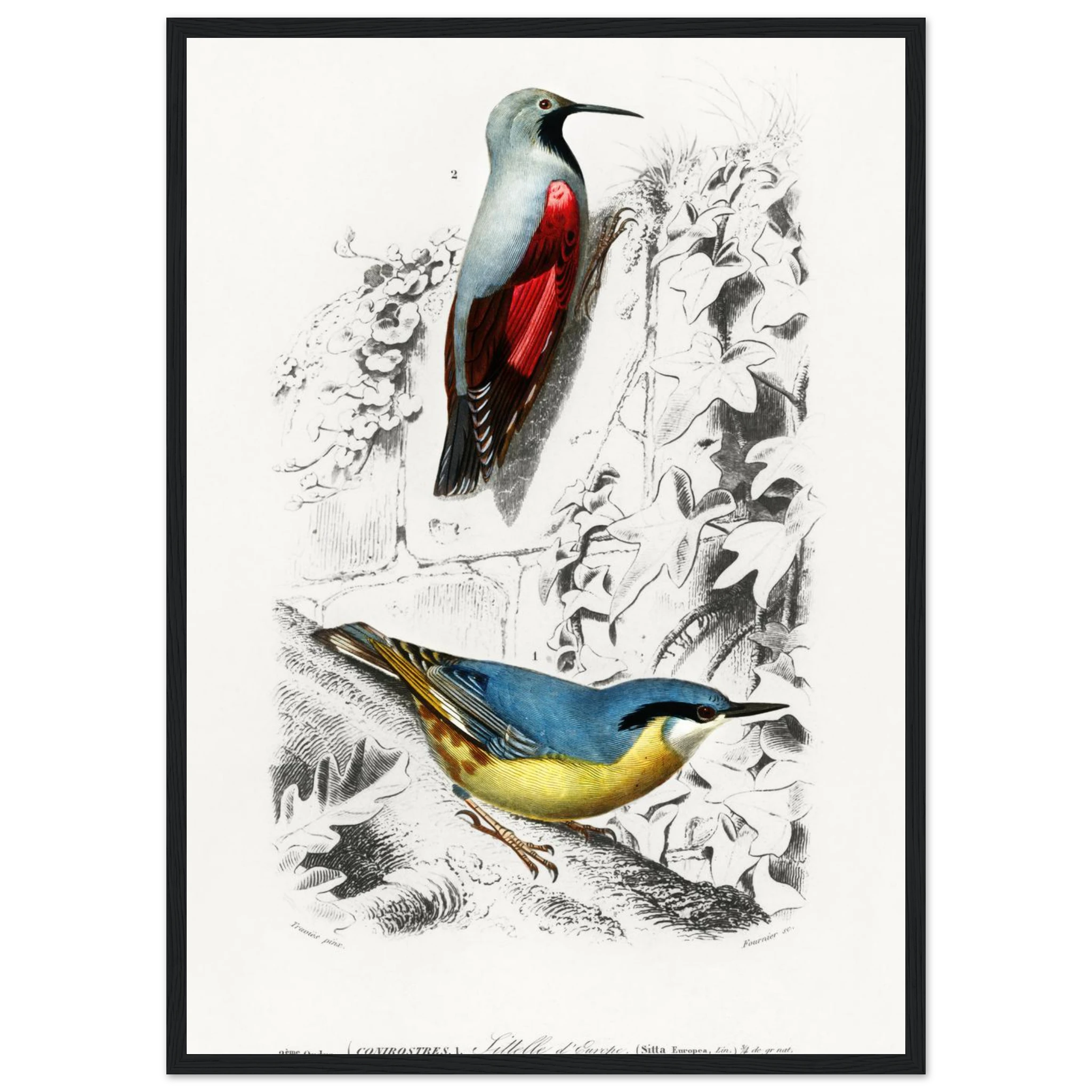 085df6ca-d545-410f-93e5-06d11f42c547