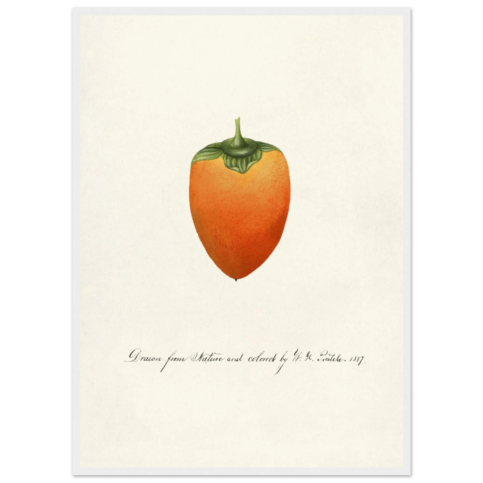 08646738-bf1c-4359-916a-02ef47d382c4