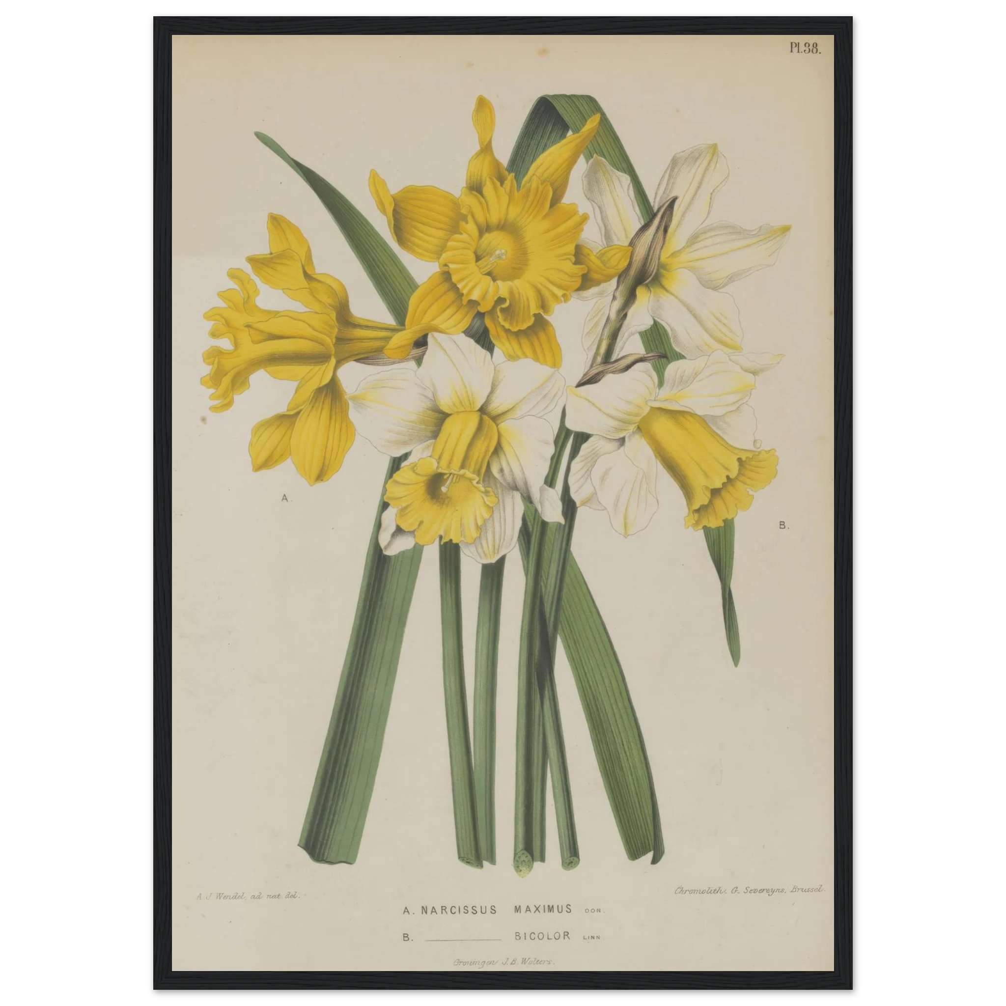 089c5e90-dbcd-46d6-b959-2f8843608050