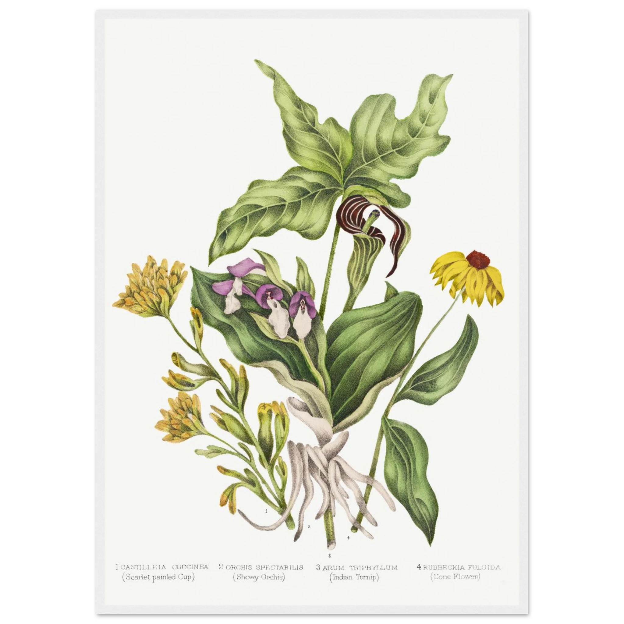 089f3be7-a894-4d1e-bc10-a351134d8bd7