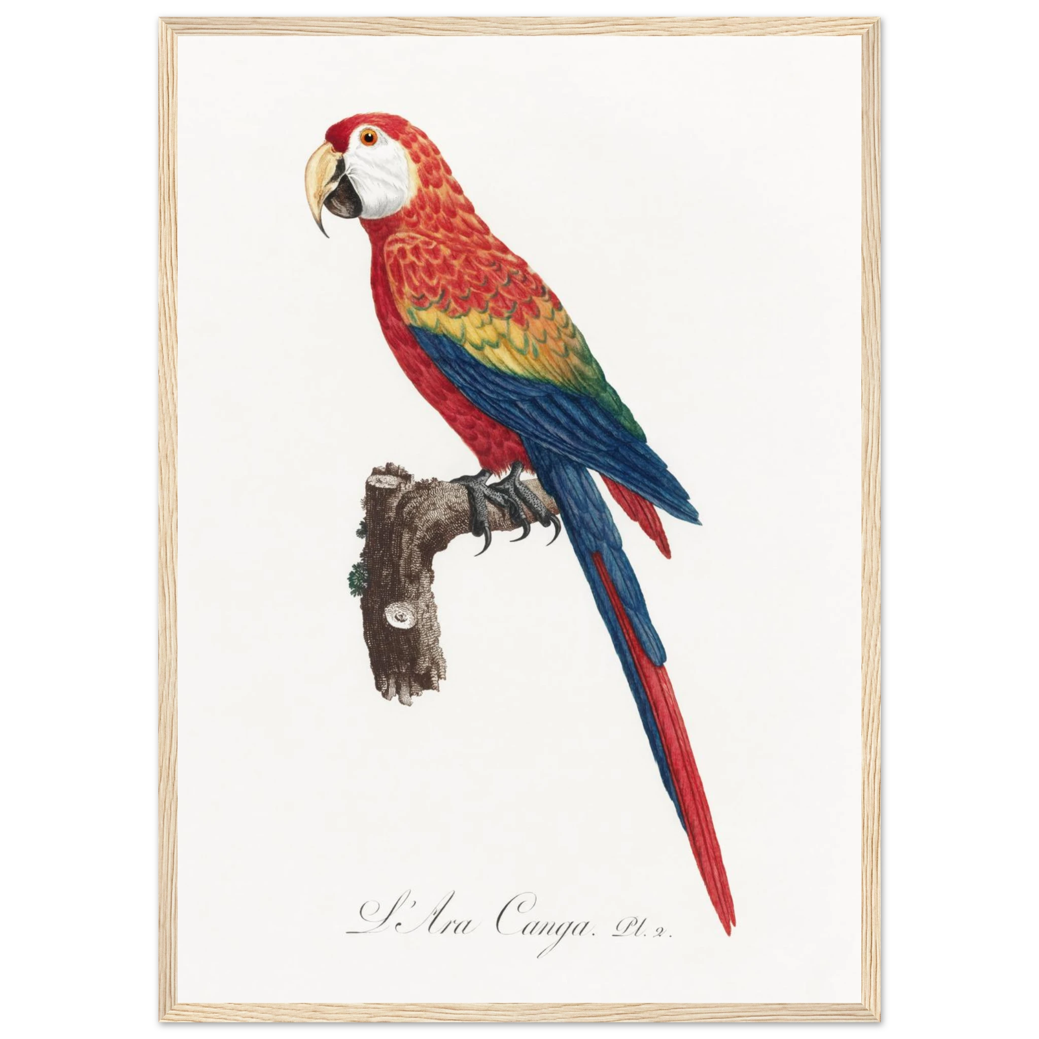 08b73cd2-1dd6-4ac2-b379-60970f4019e8