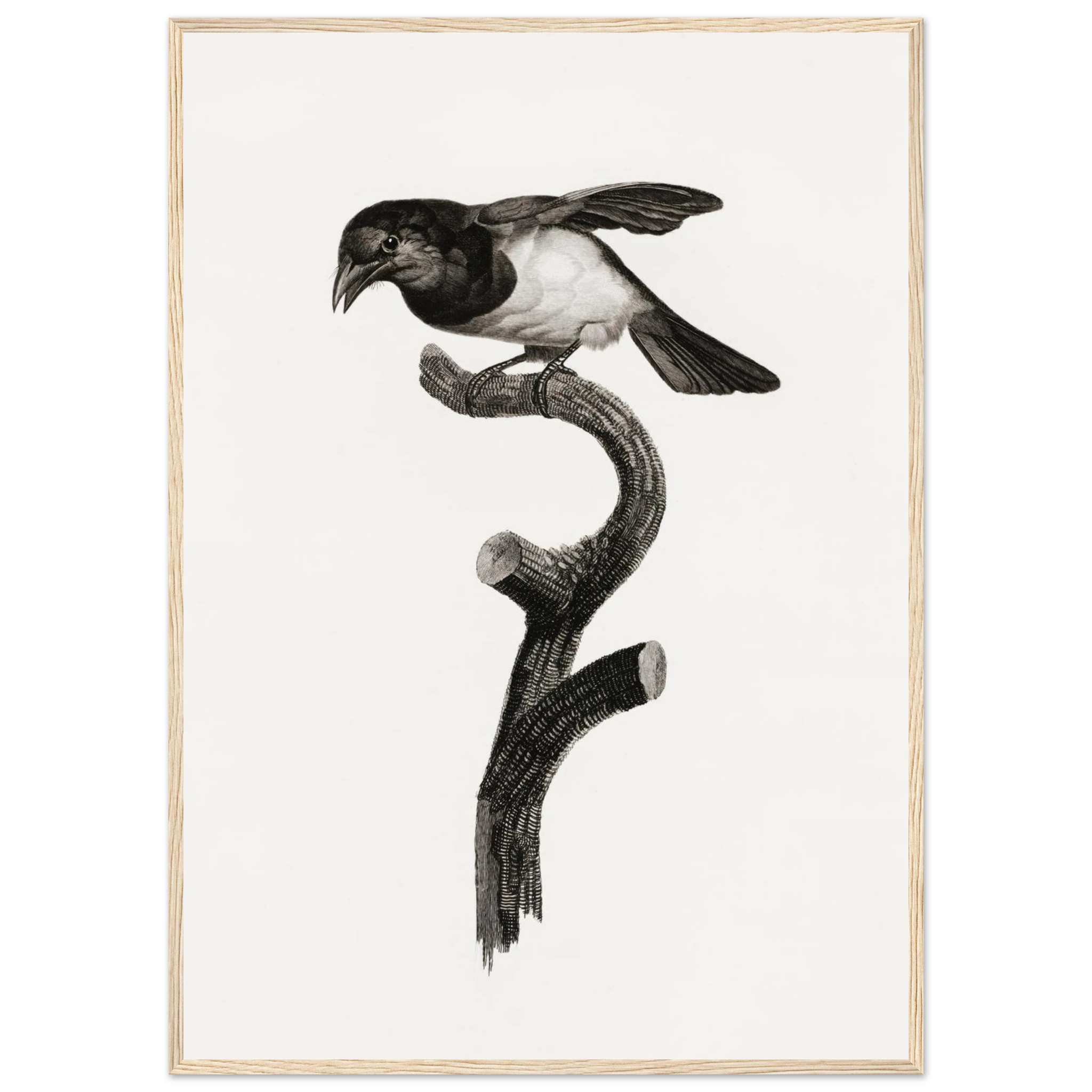 08dfcf8a-cae9-4248-95de-ce63eb981123