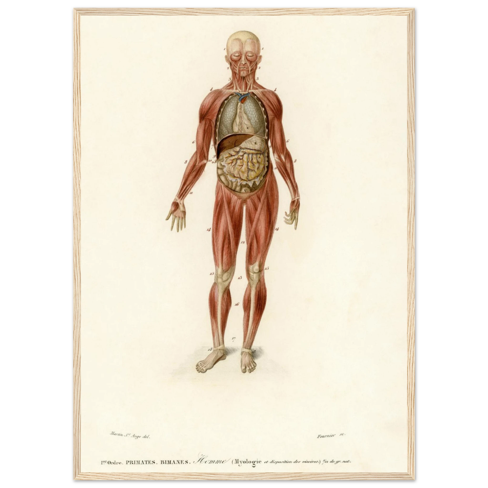 08ed0ae5-3c07-4861-a678-1b423937d72f