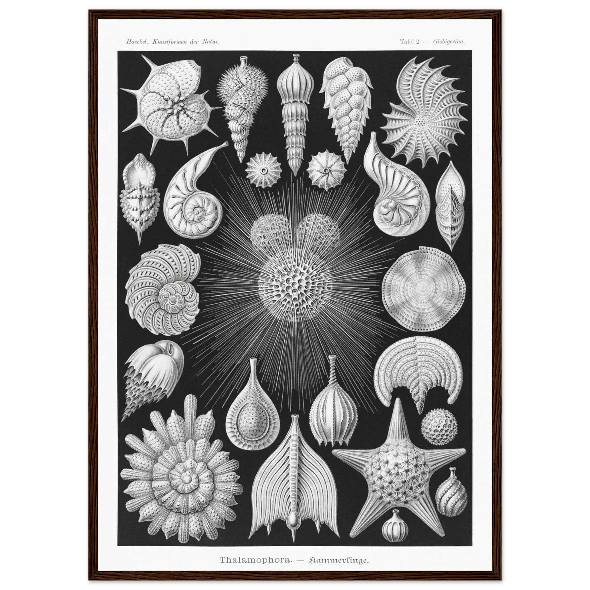 090b5281-775b-4e4d-a2e1-d7b704f60739