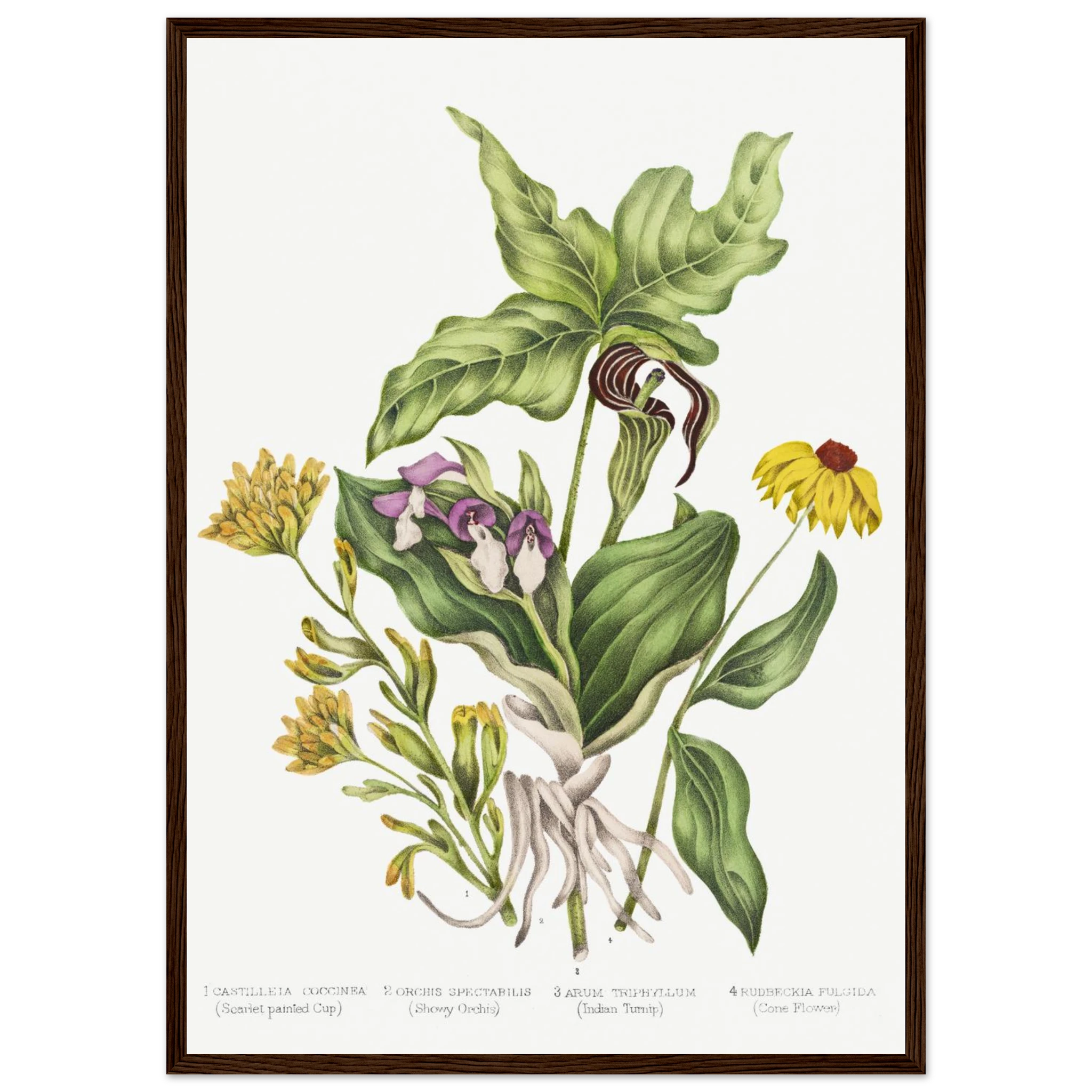 091886e8-d671-4bd2-a27d-fe6146c94f95