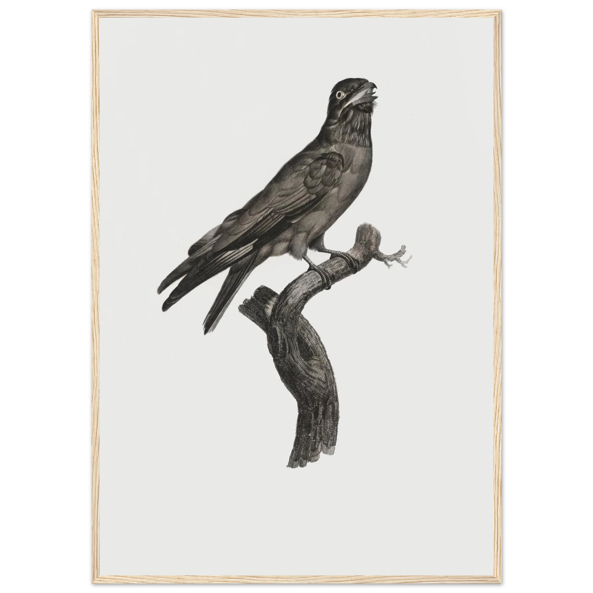 094bb213-17ec-4c26-a159-ac36adfbefc1