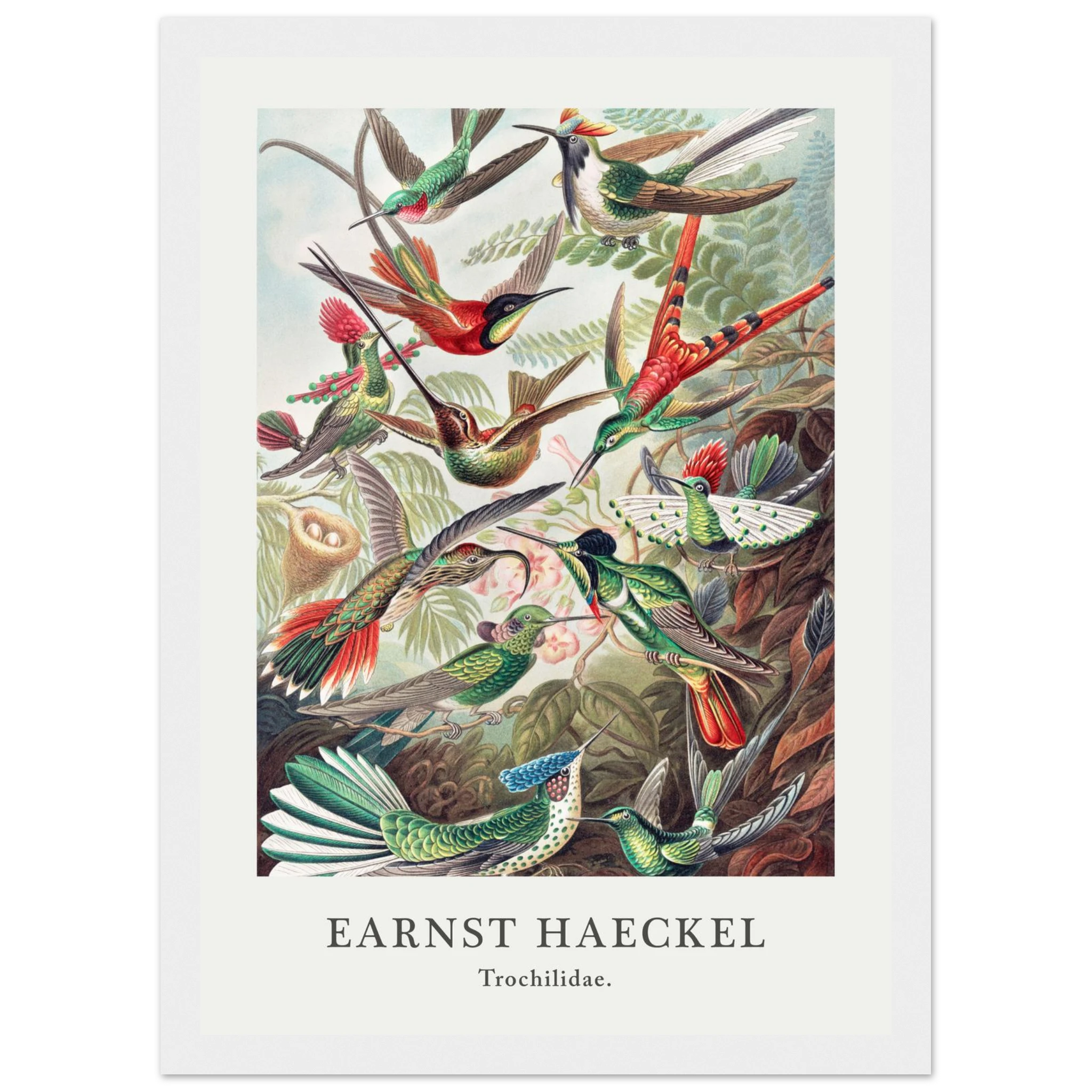 096c7865-4efc-4f34-8992-1b6ebd1e1f29