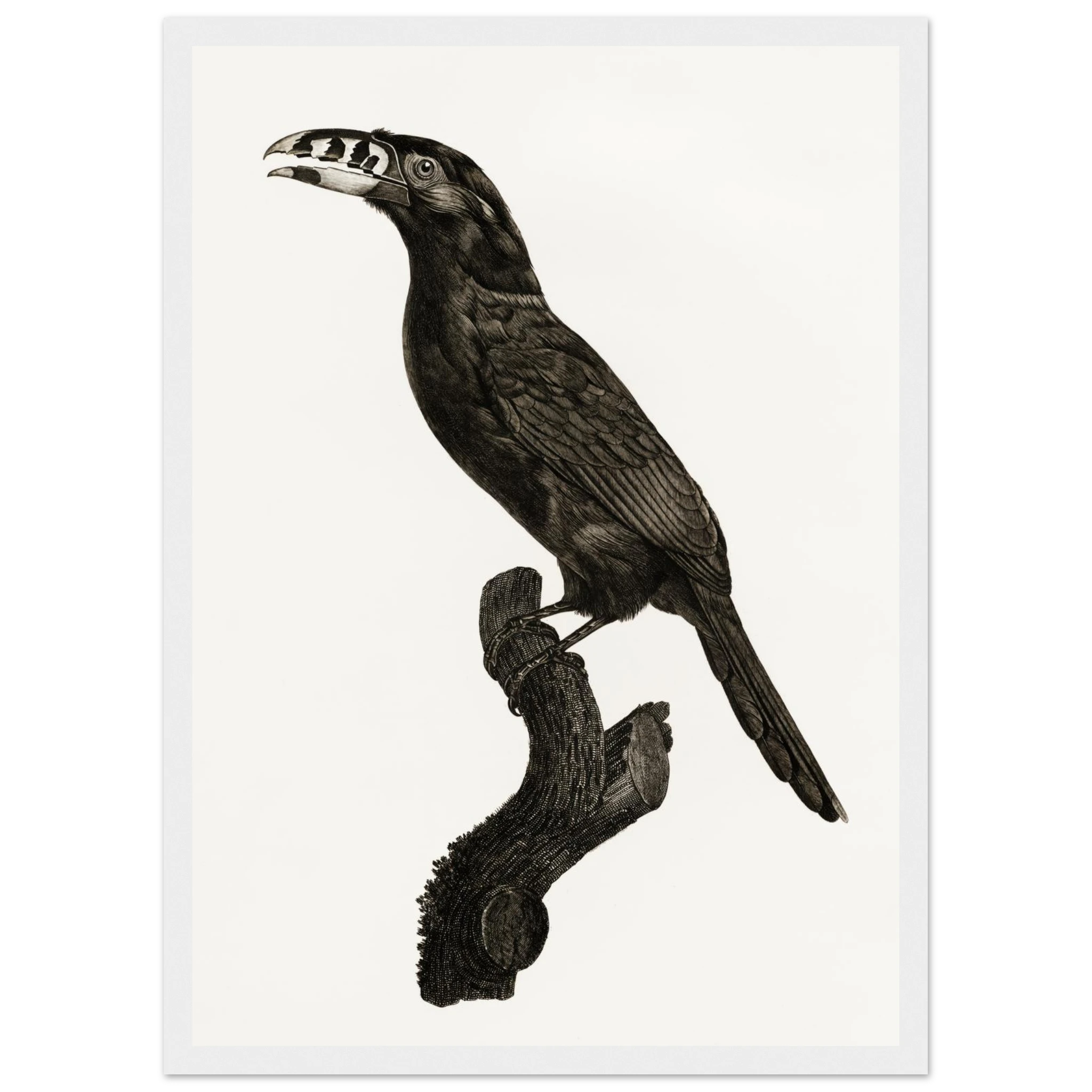 09cb1e50-ec77-447f-bb0d-e04a4347465e