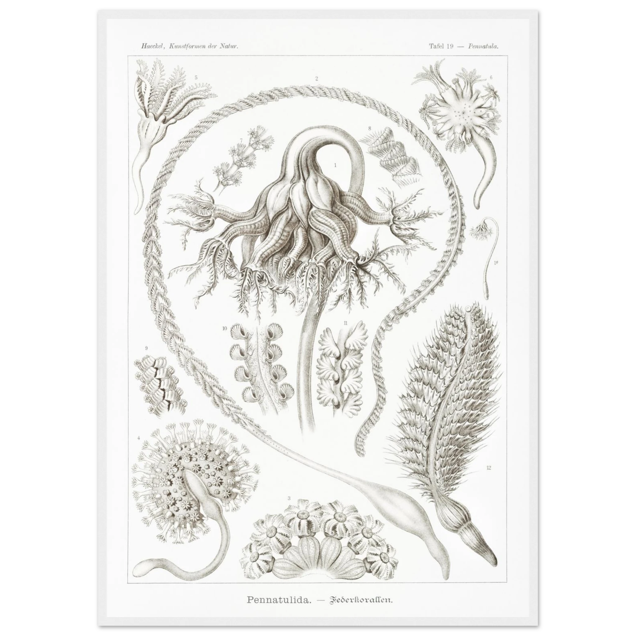 09f6bca6-8015-4da1-8c9f-91f621beec58