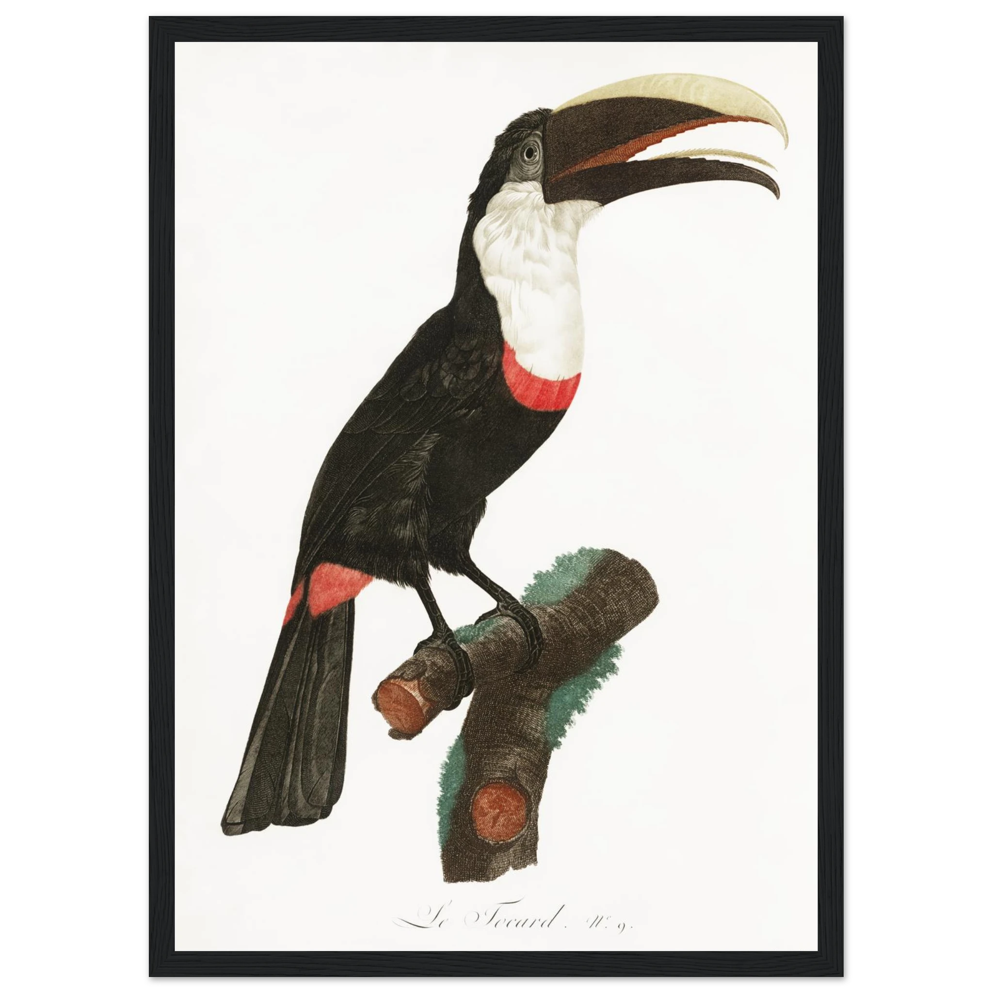 09fd1d6d-cca1-46d1-b68a-0ff2094144e2