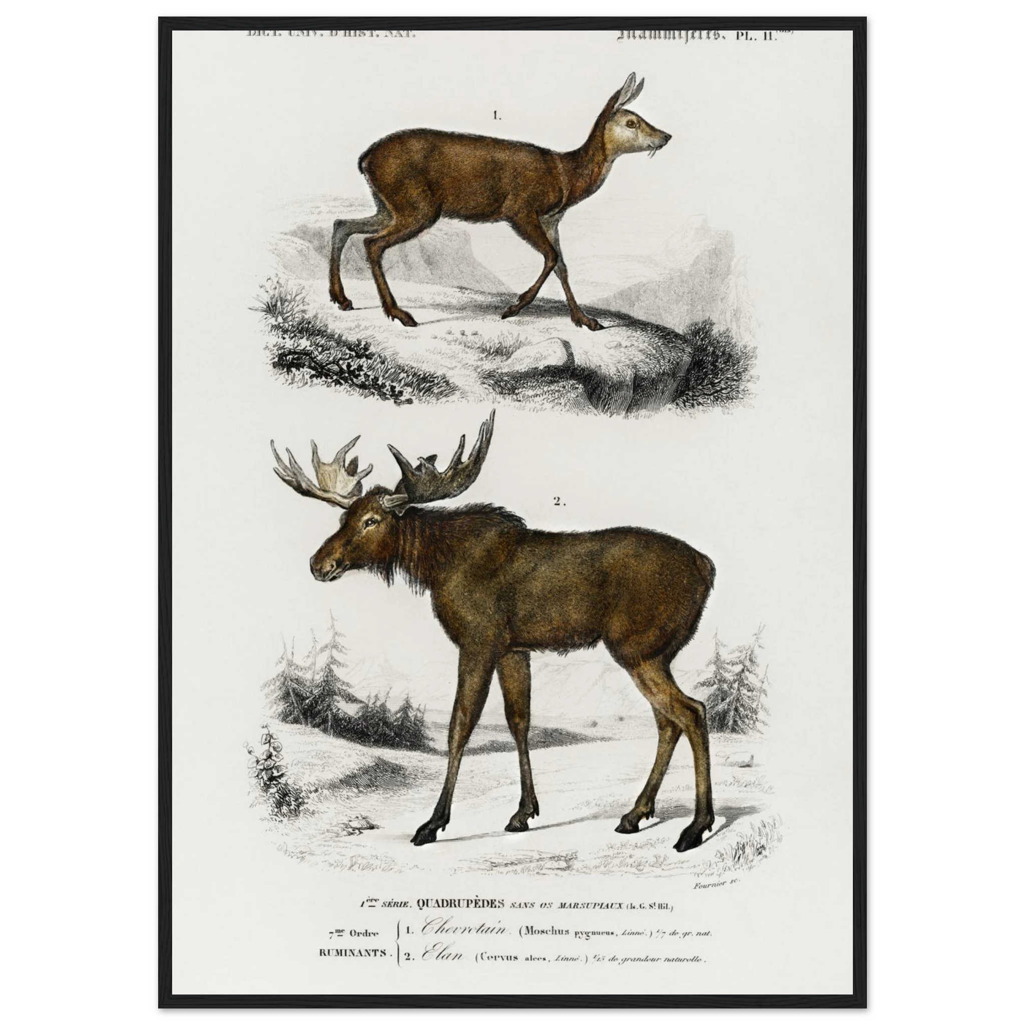 0a05bdff-abbc-4b55-bfc4-4dca0b445b02