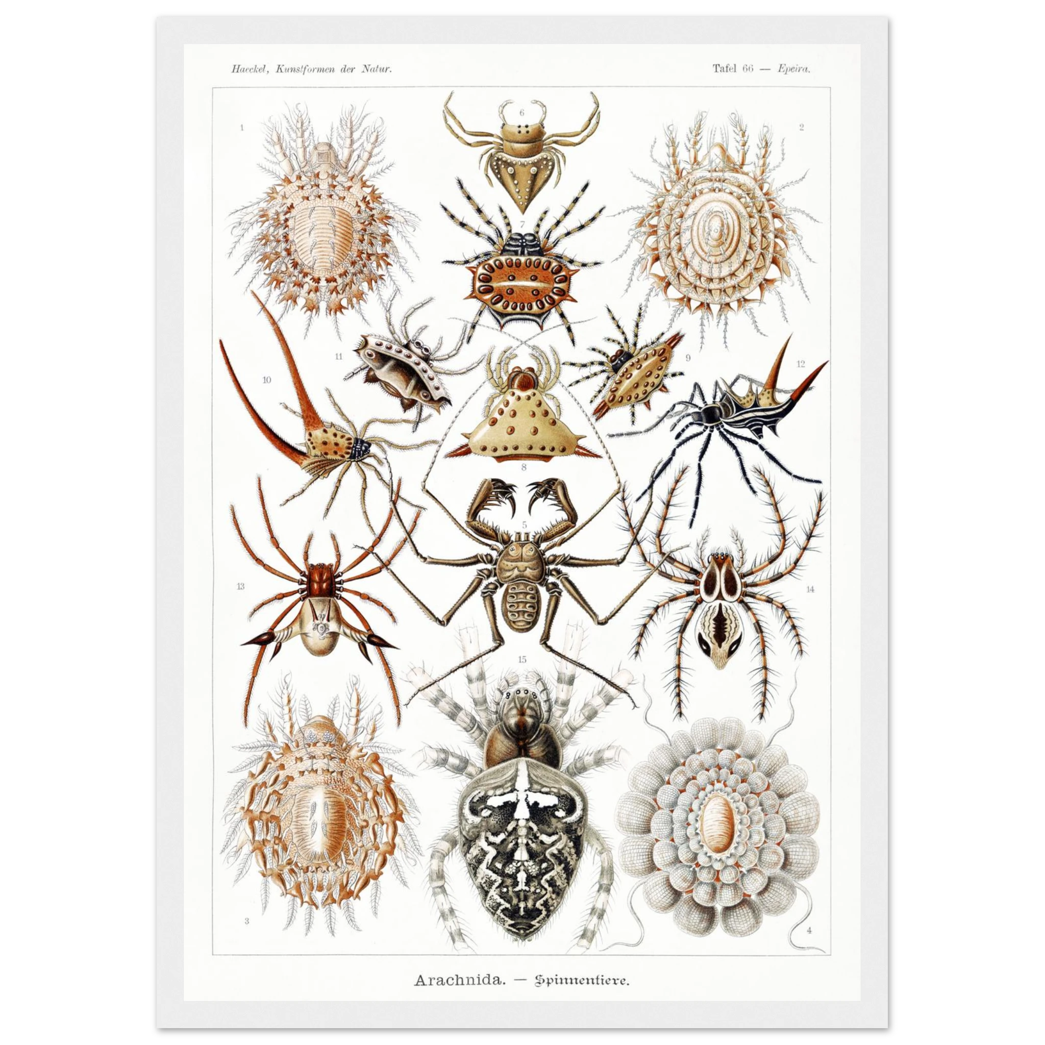 0a21b0ff-f686-4d23-b413-f7b1658fbb31