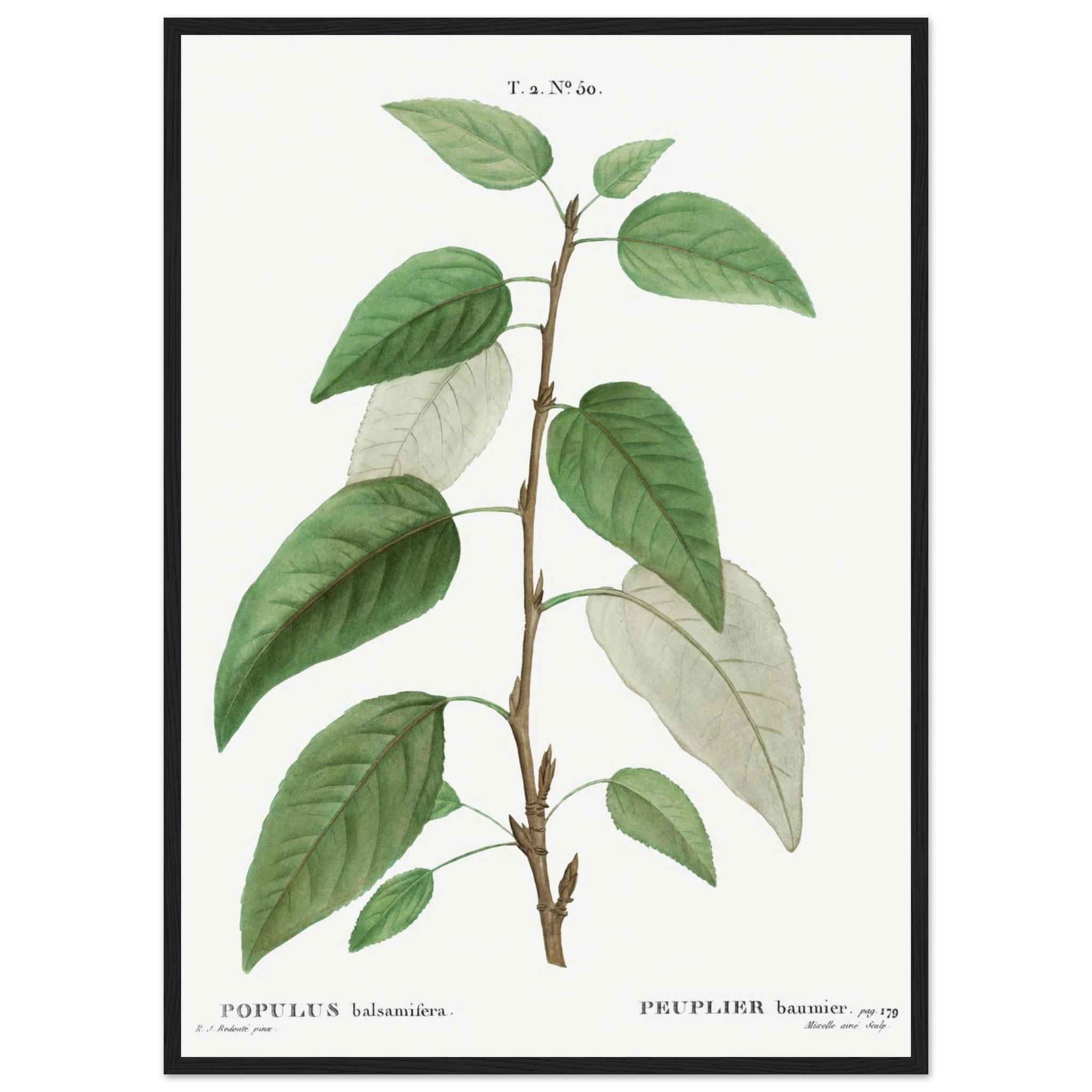 0a4e53a5-b0ec-4bcc-897f-02ce86beb103