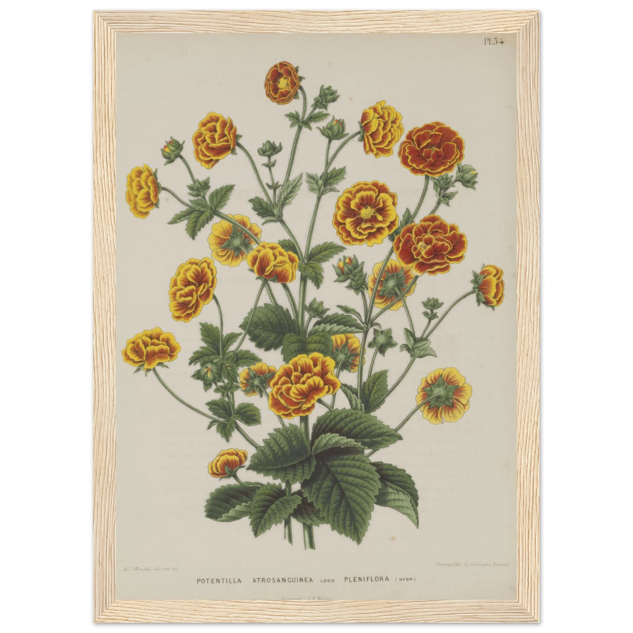 0a523123-001c-4b0f-836d-bb9c976bf36b