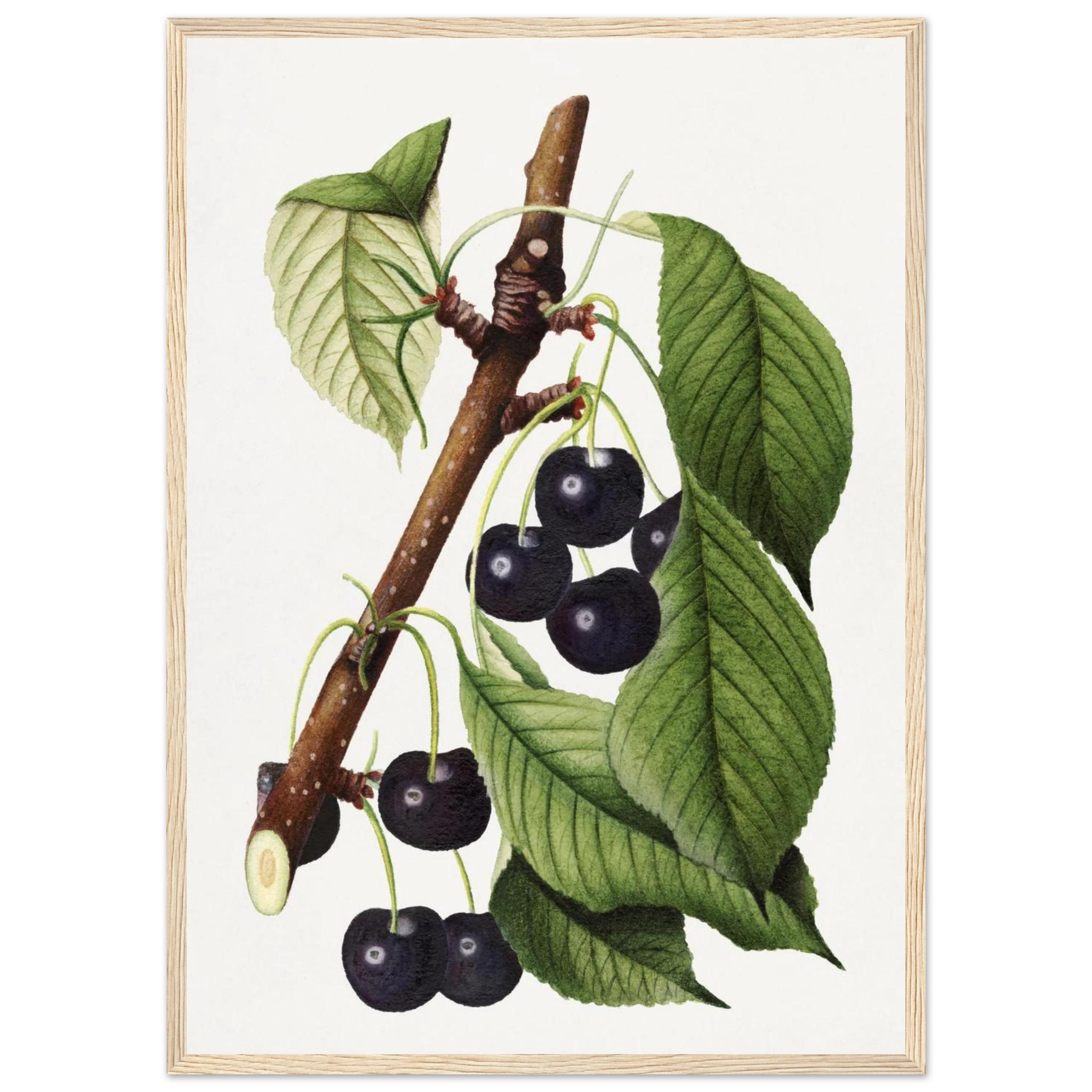 0a838fd1-071f-434c-b776-b7ab662756f9