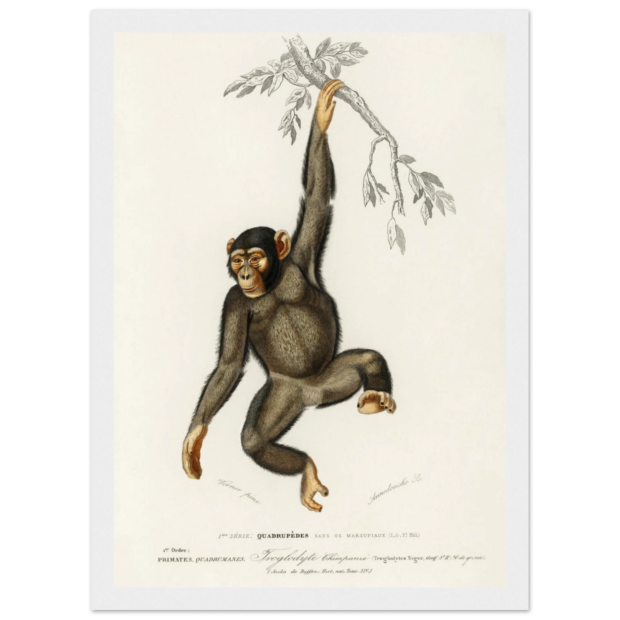 0a8deaed-14a2-442c-abe5-832ed450e643