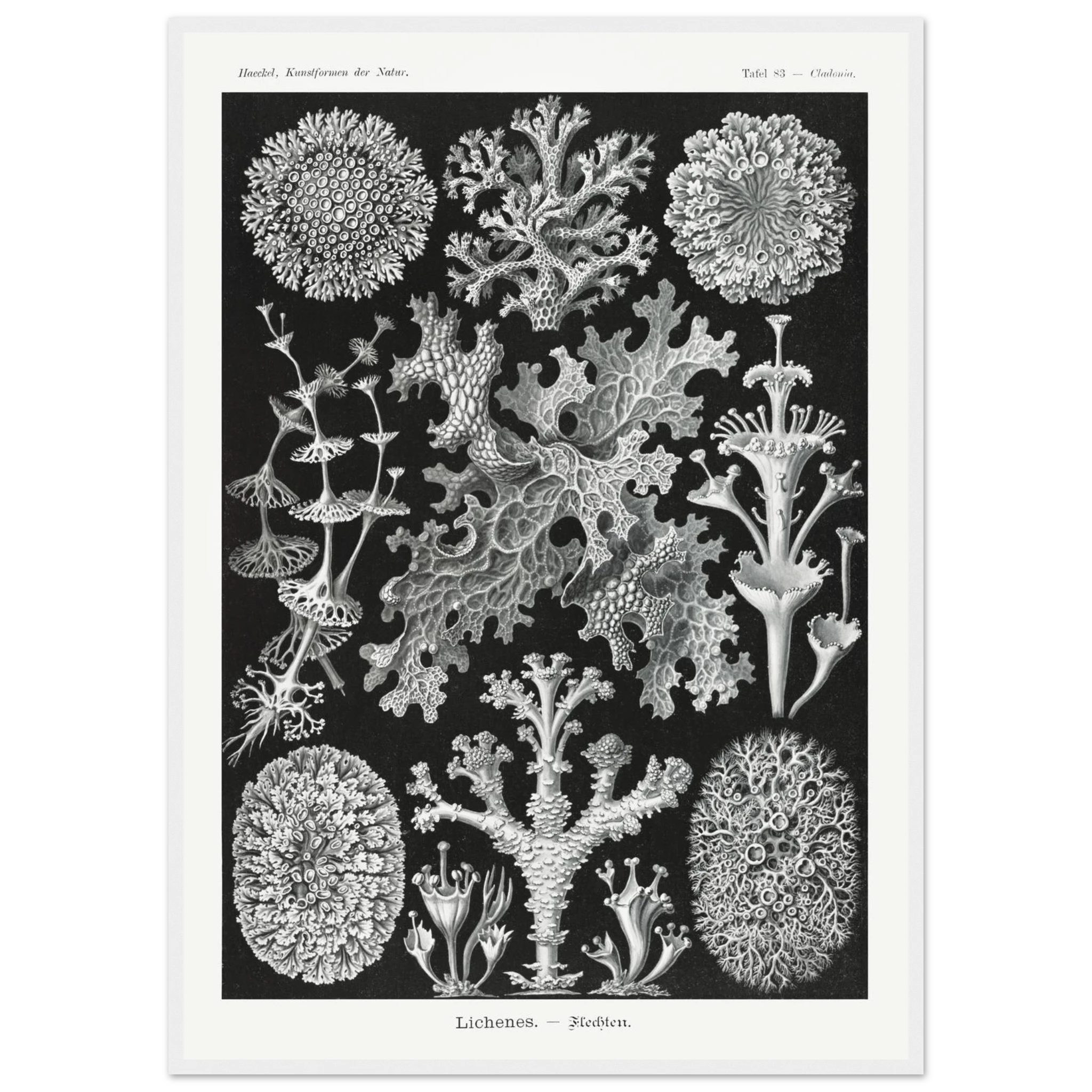 0ab98ef1-42fe-4b58-bef5-8ba8b8d40e38