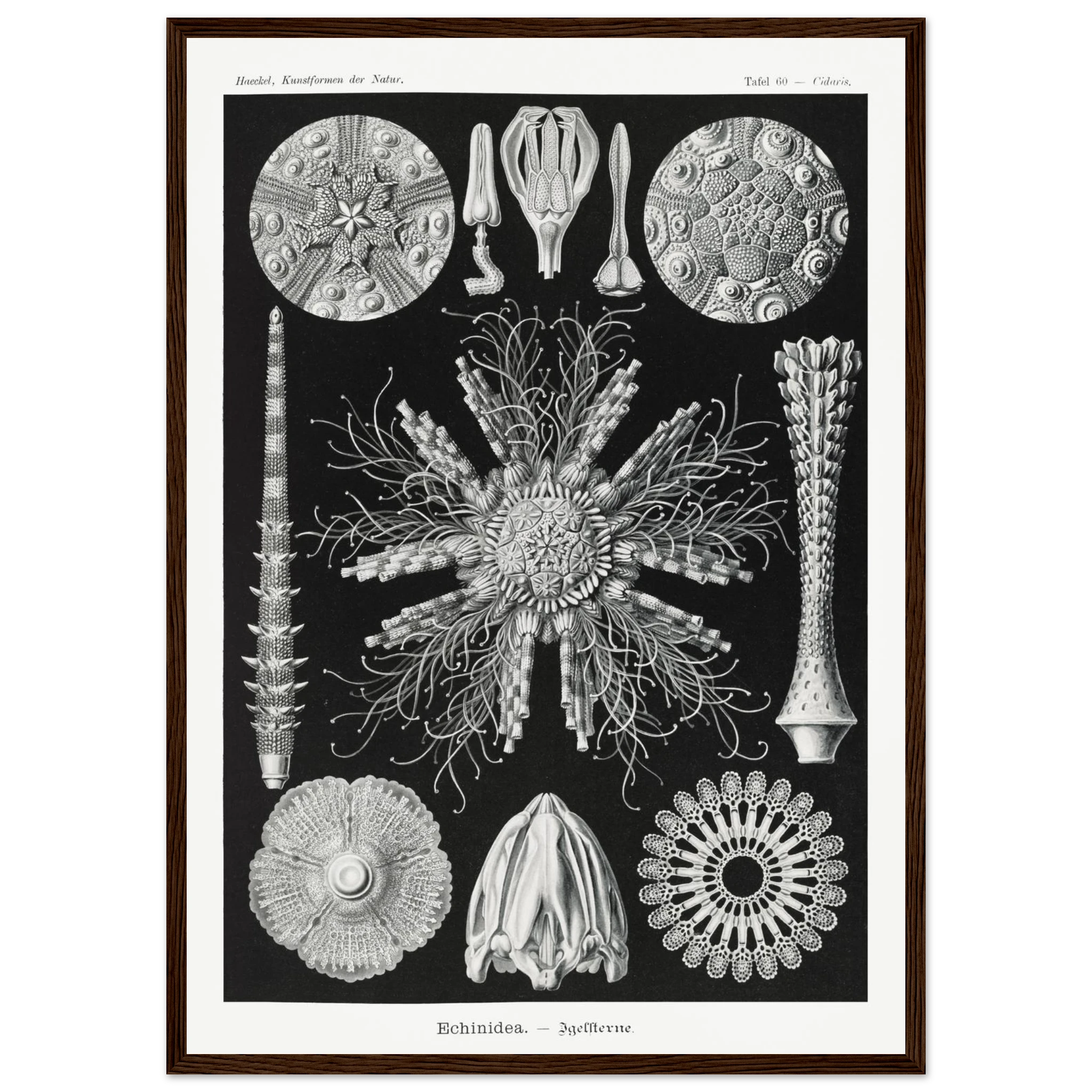 0ac2d14a-8478-44b4-b2bc-a7dc67278c6f