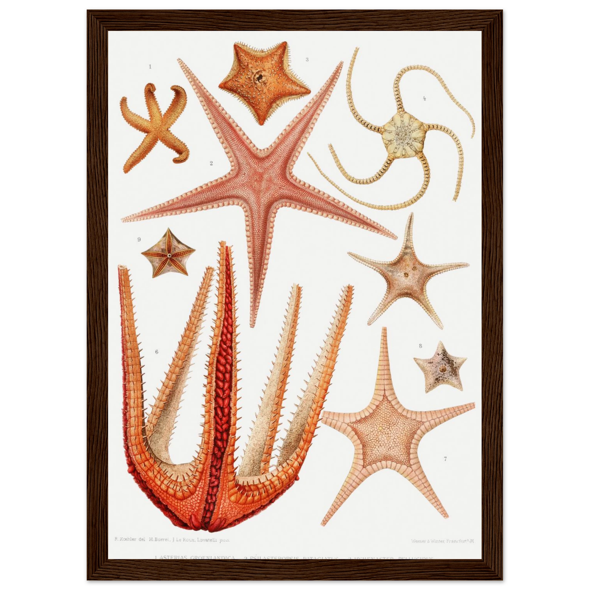 0ae943b2-1ec1-4038-af25-366db0bb8635