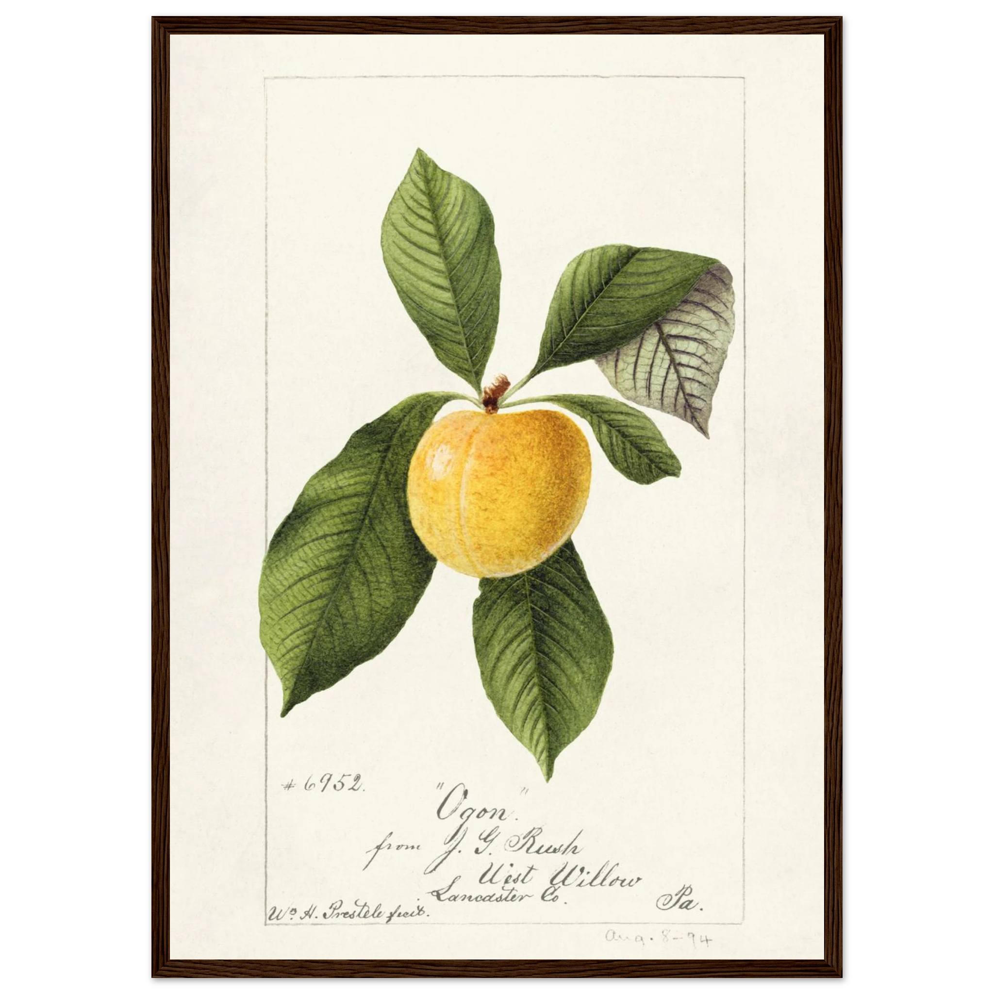 0b07d2cb-8ece-46d7-bdfc-f1fc544fc067